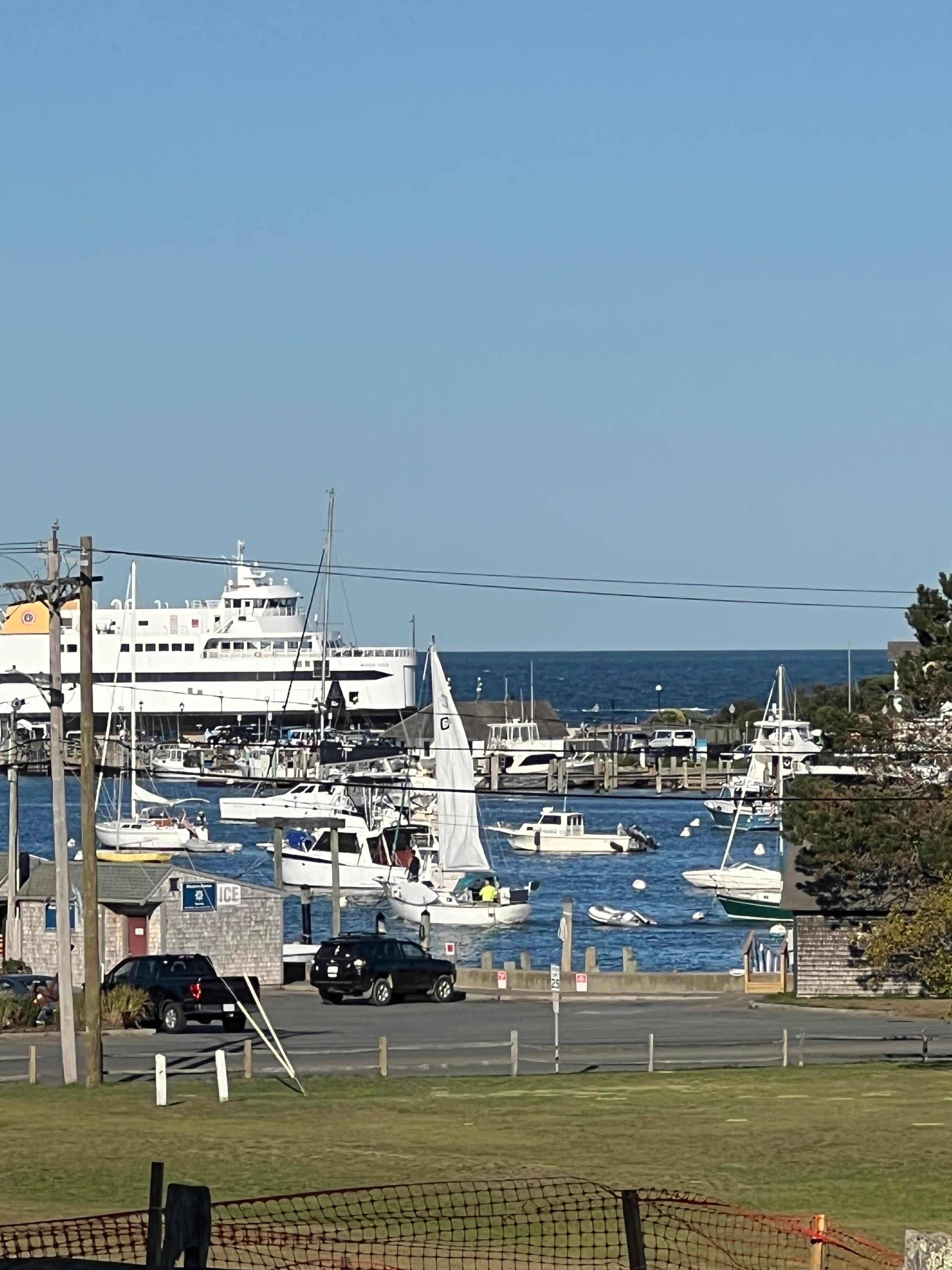 Oak bluffs harbor