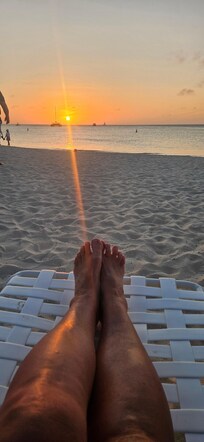 Palm beach sunset views