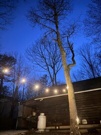 The only photo I took at the house. From the hot tub in the back yard.