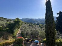 Morning view from my bedroom