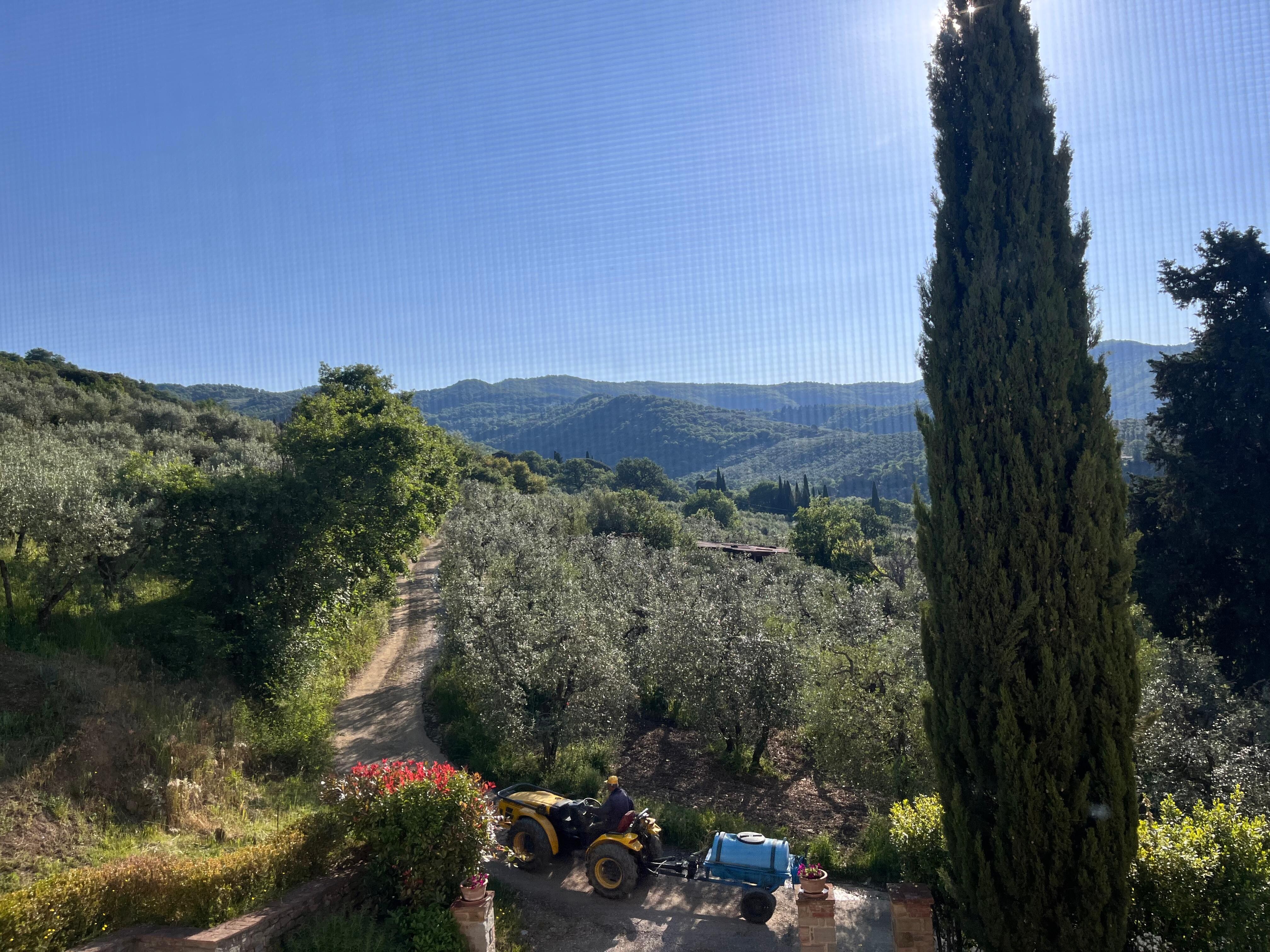 Morning view from my bedroom 