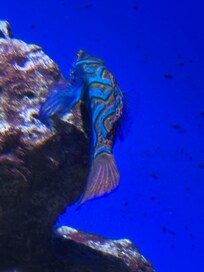 Great time at the Aquarium!