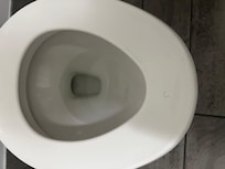 Public hair from previous guest or housekeeping