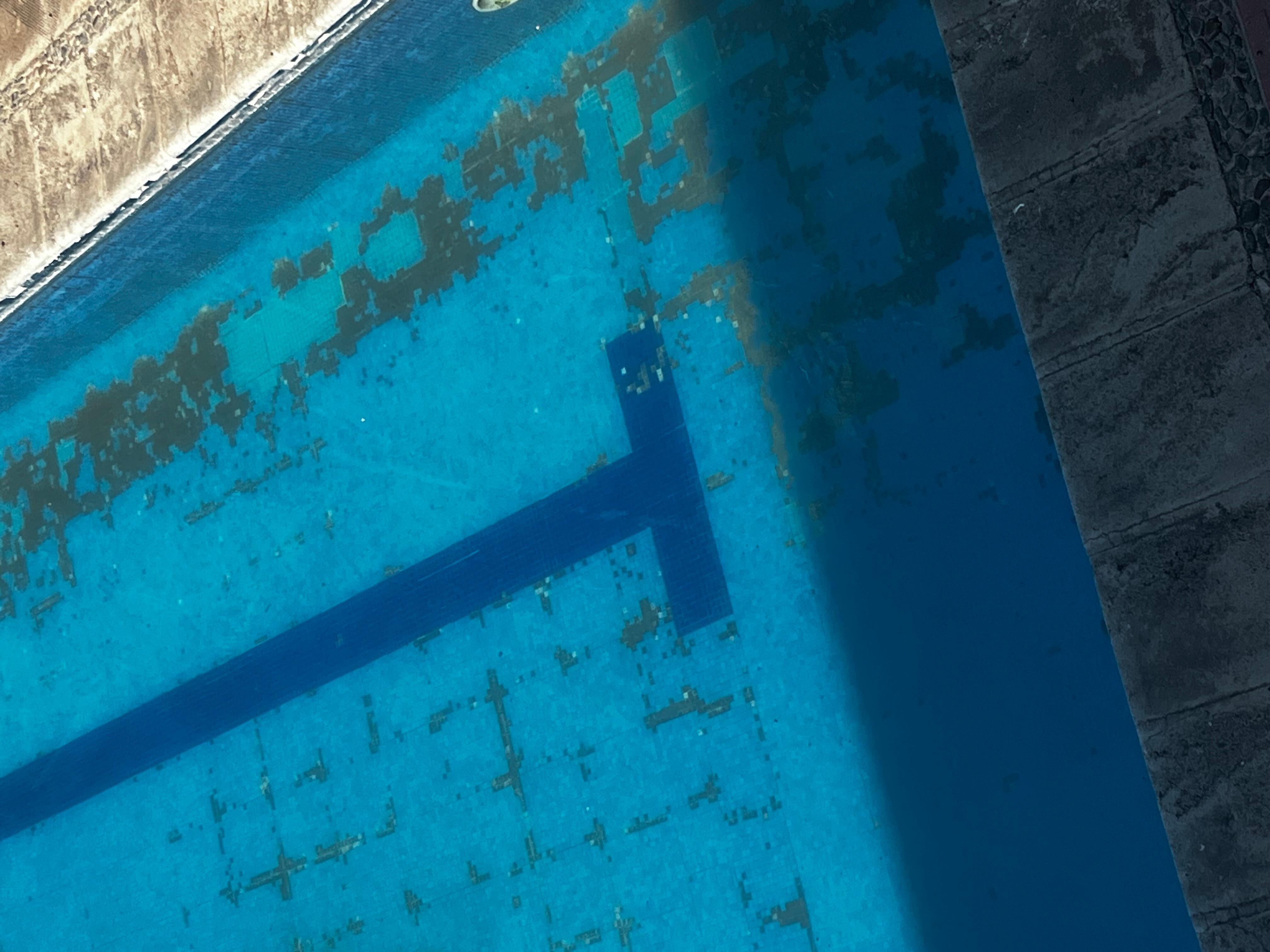 pool in need of maintenance