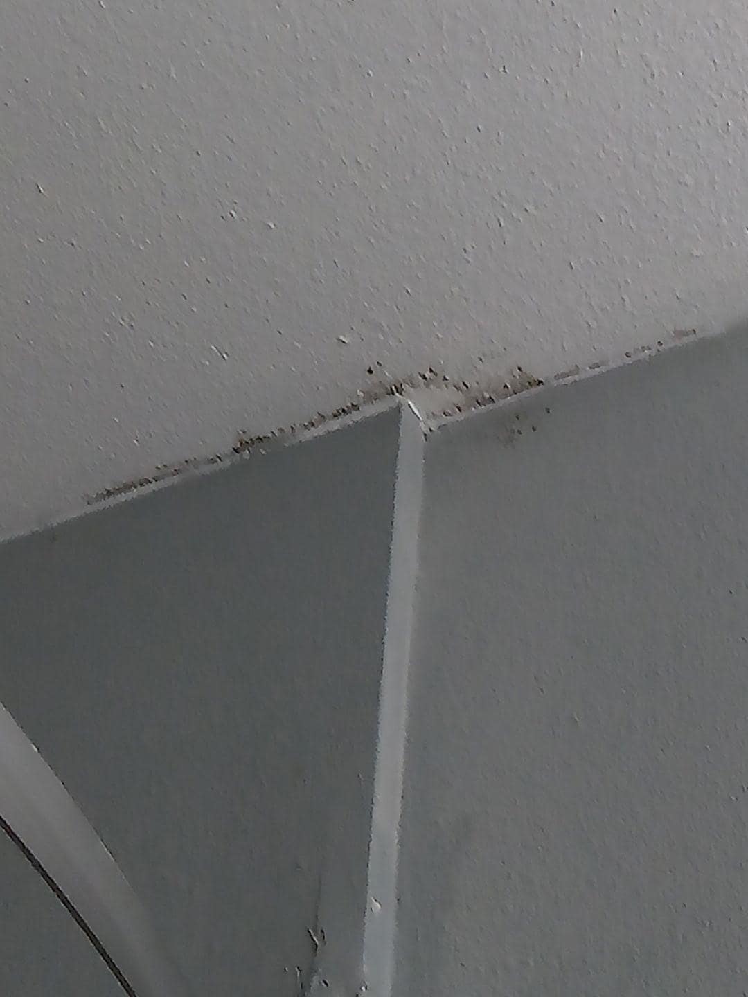 Mold in the bathroom 