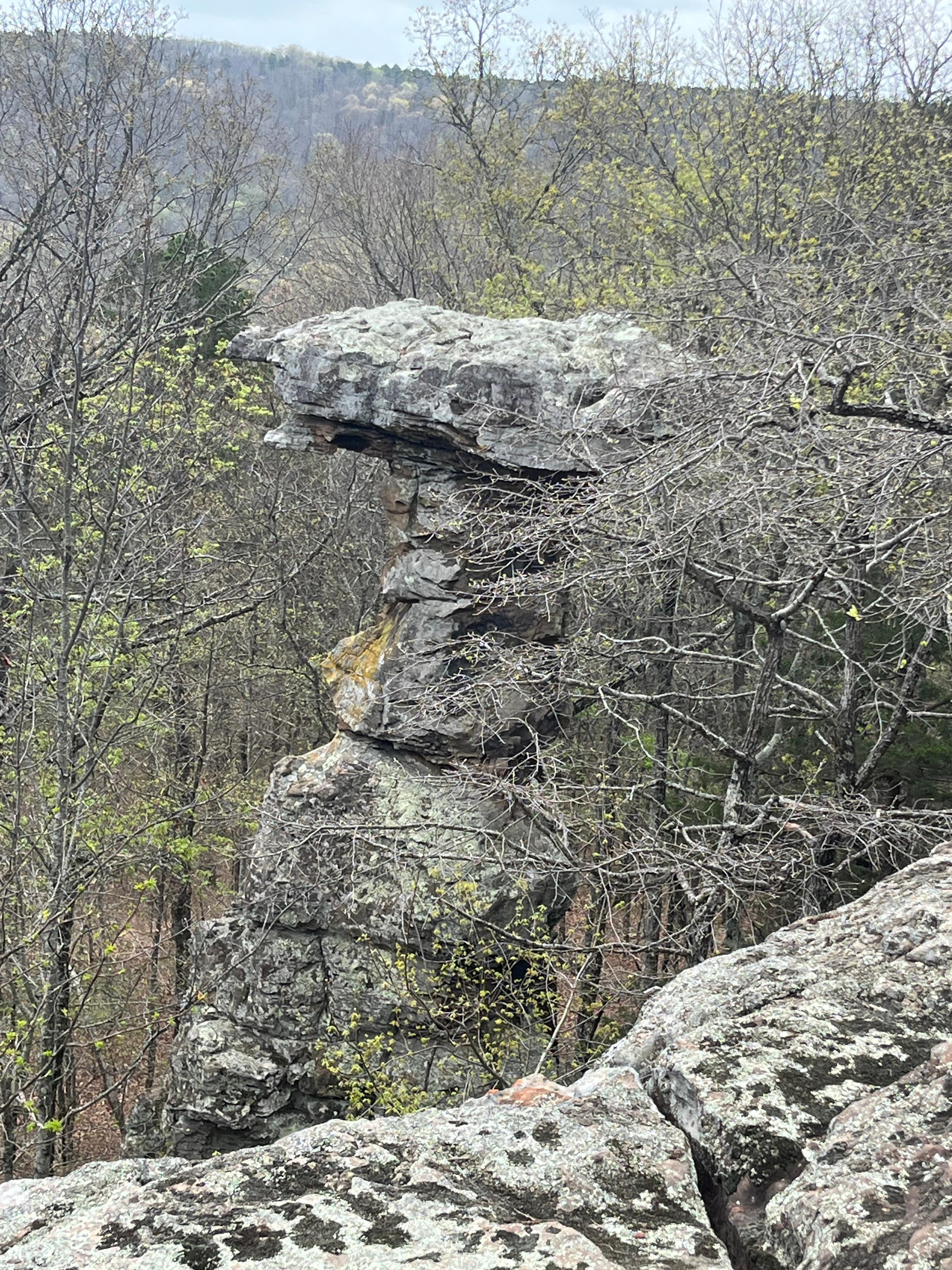One of the many Pedestal Rocks
