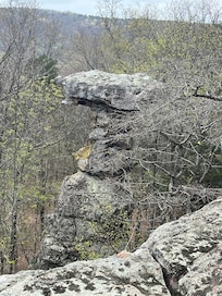 One of the many Pedestal Rocks