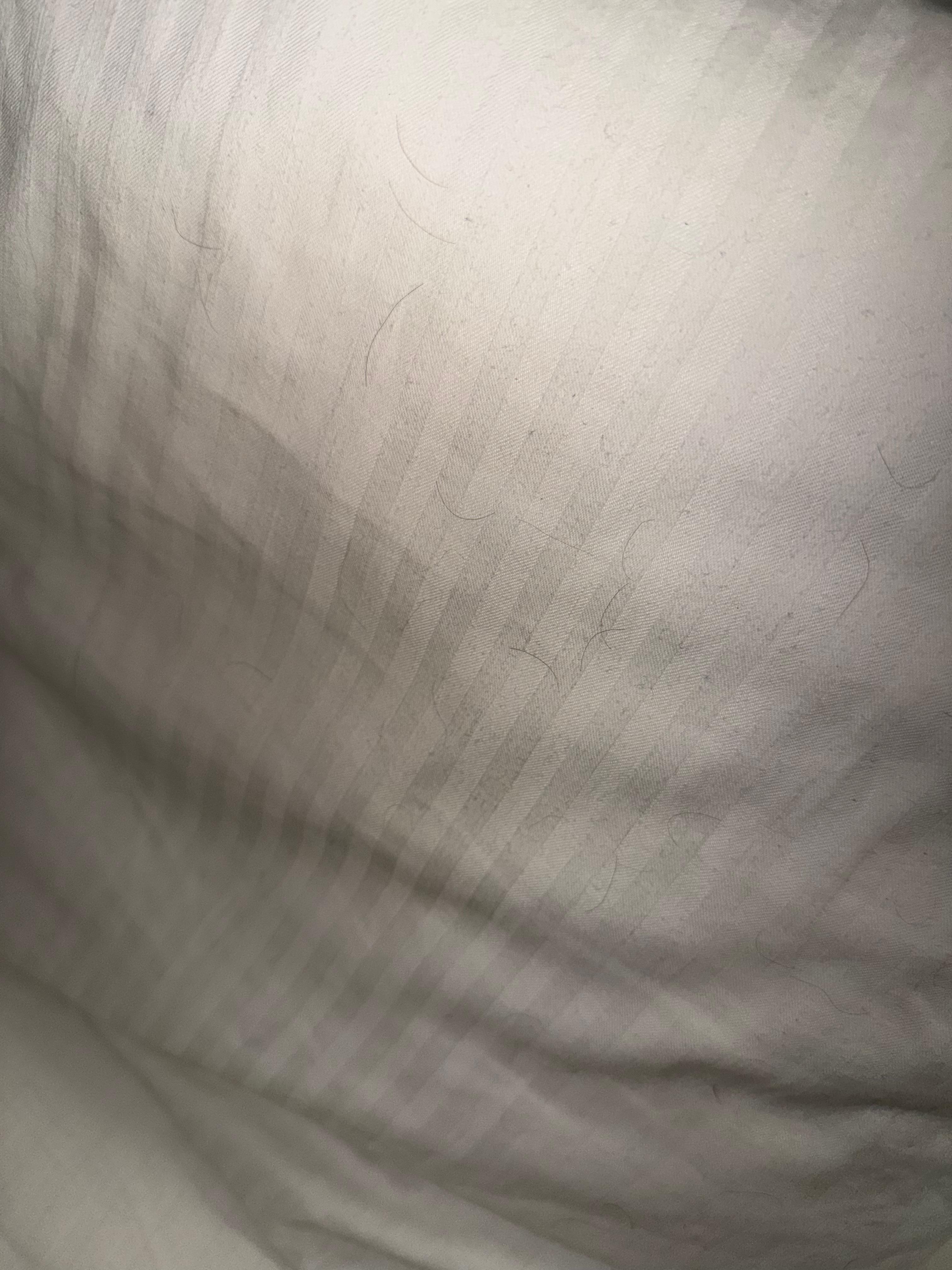 Dirty pillow case with hair from the previous guest