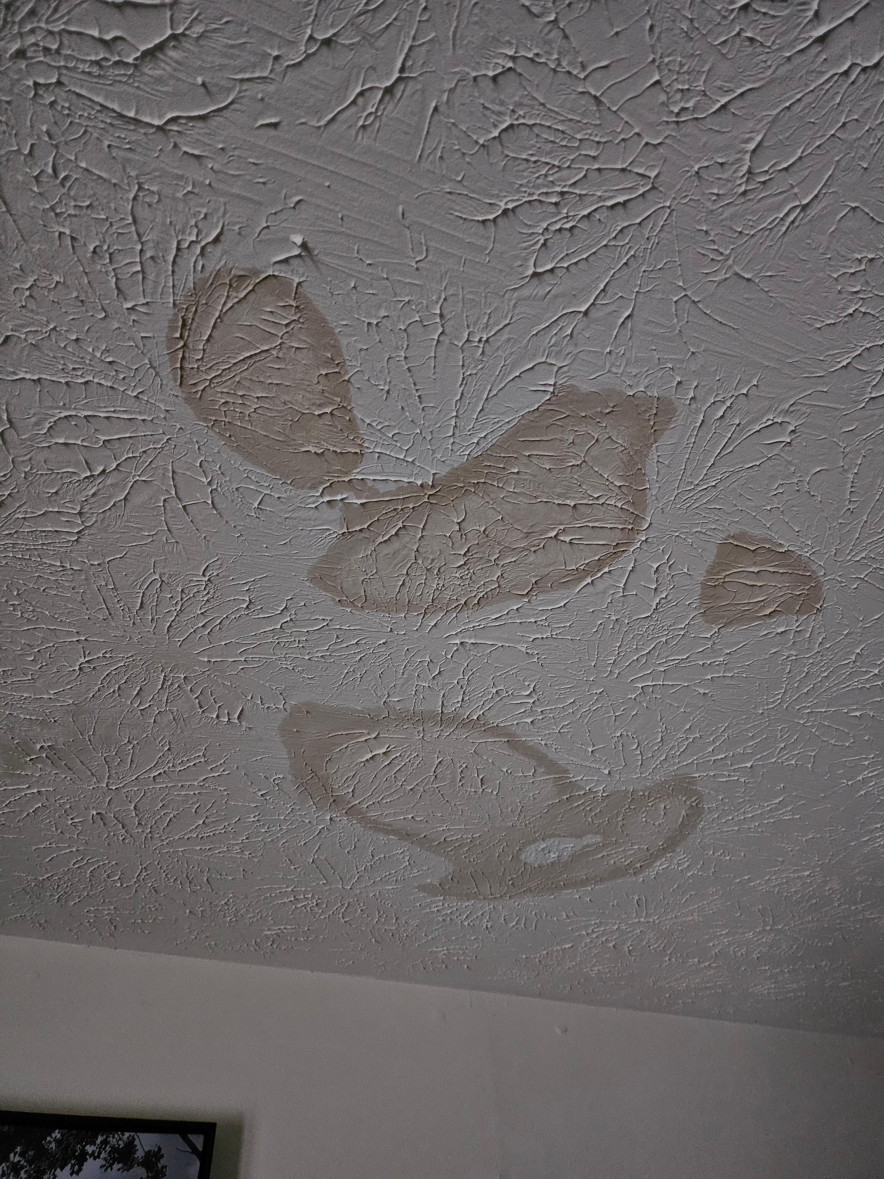 One of three stained ceilings 