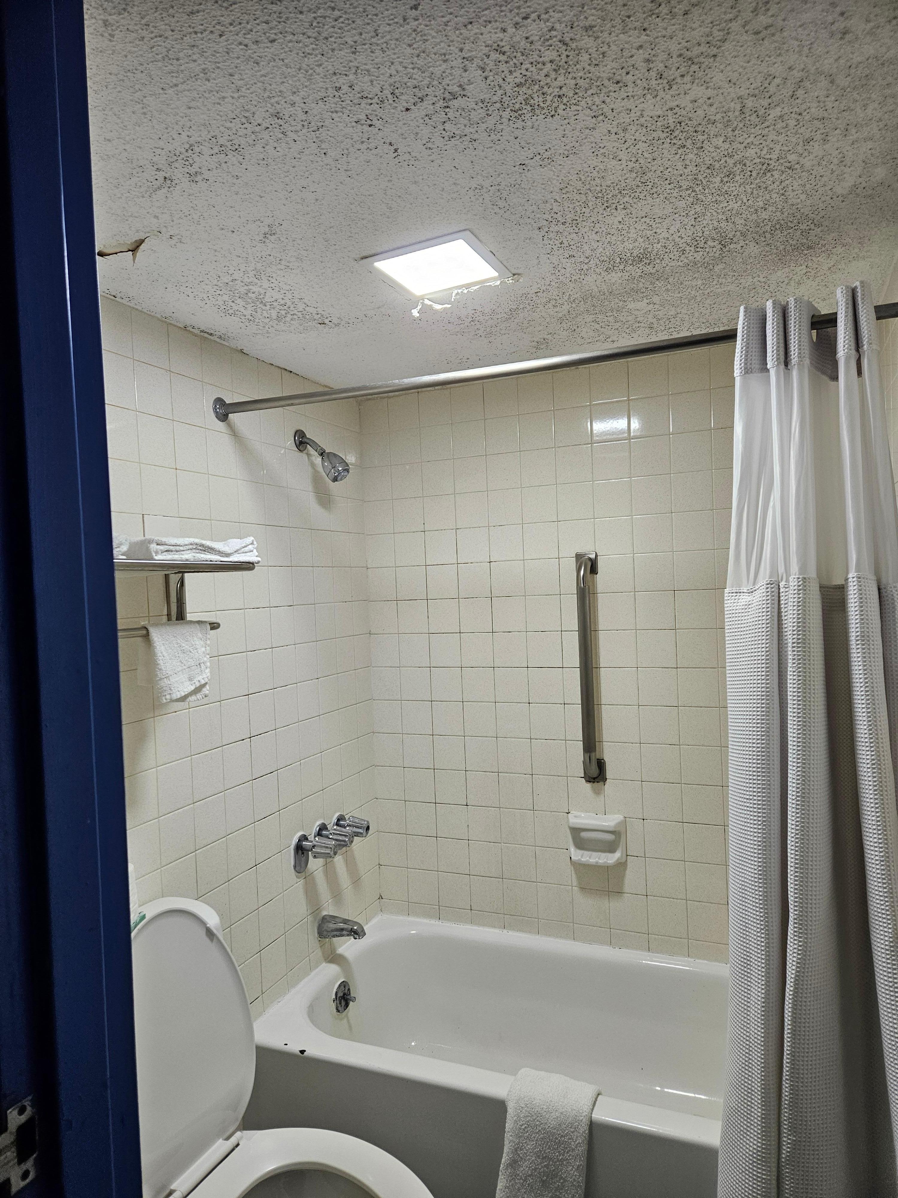 Bathroom ceiling with mold.
