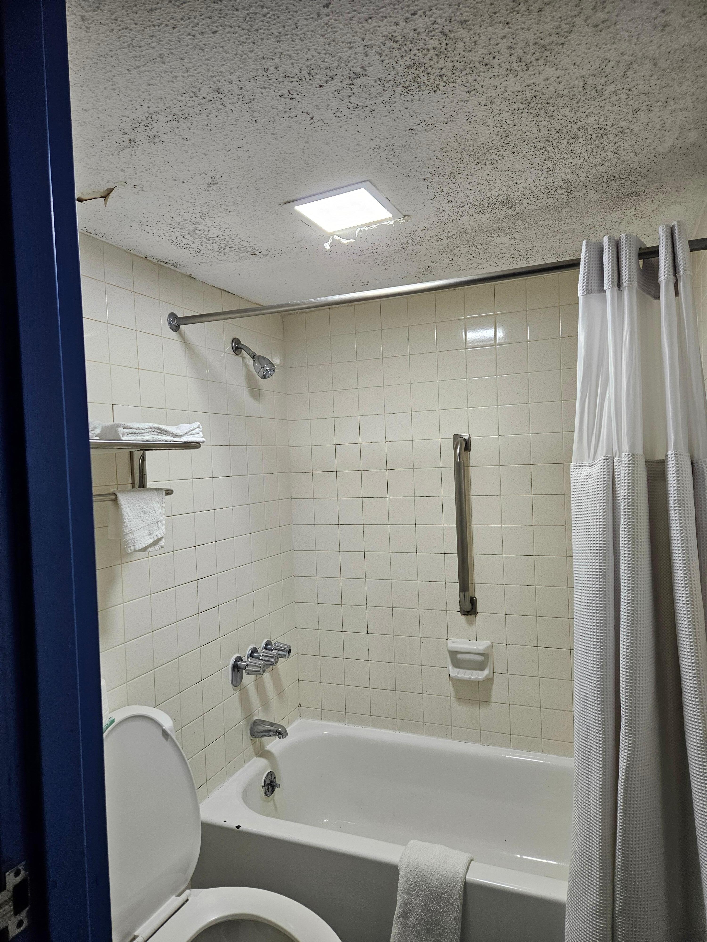 Bathroom ceiling with mold.