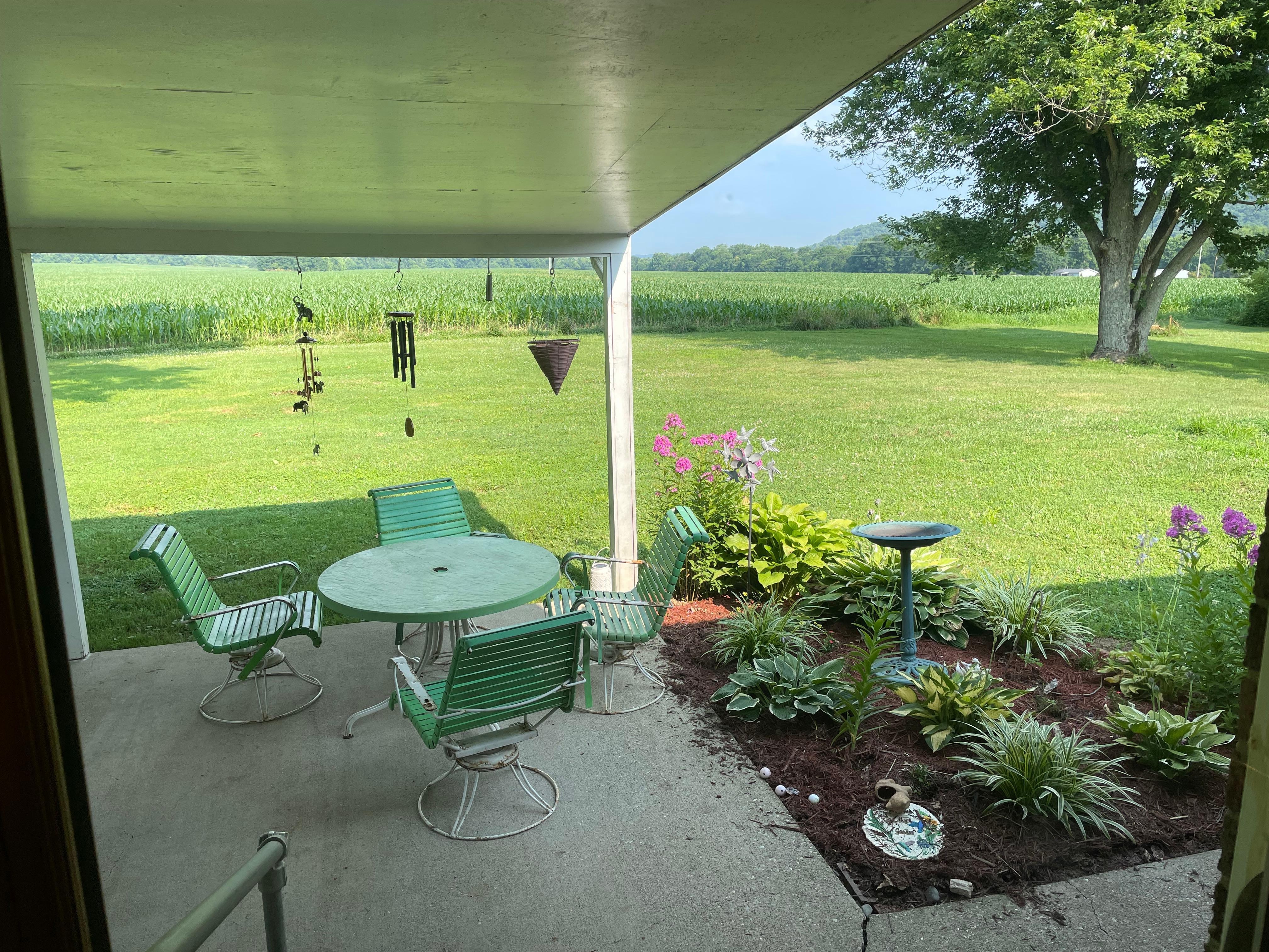 Back patio