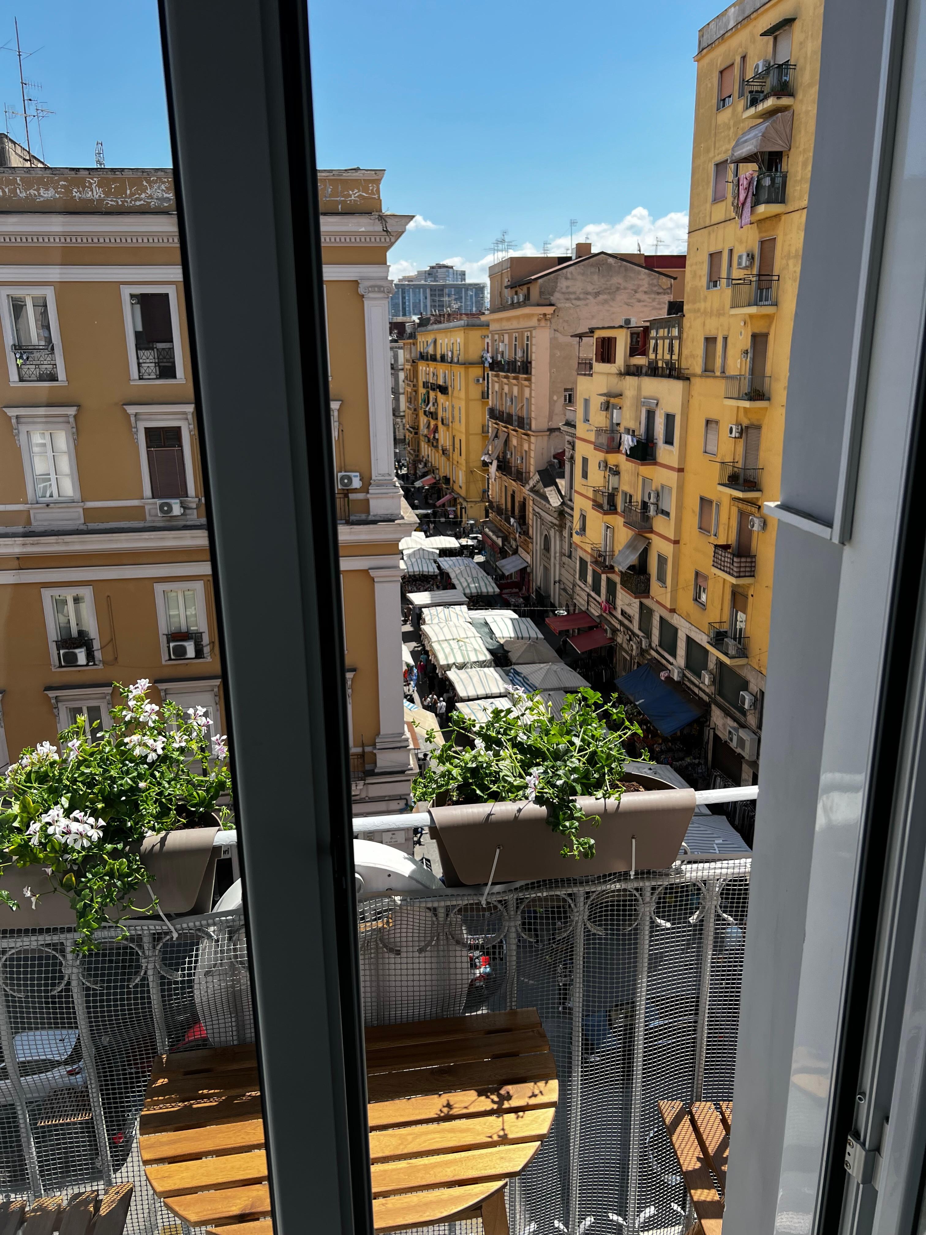 The view! 