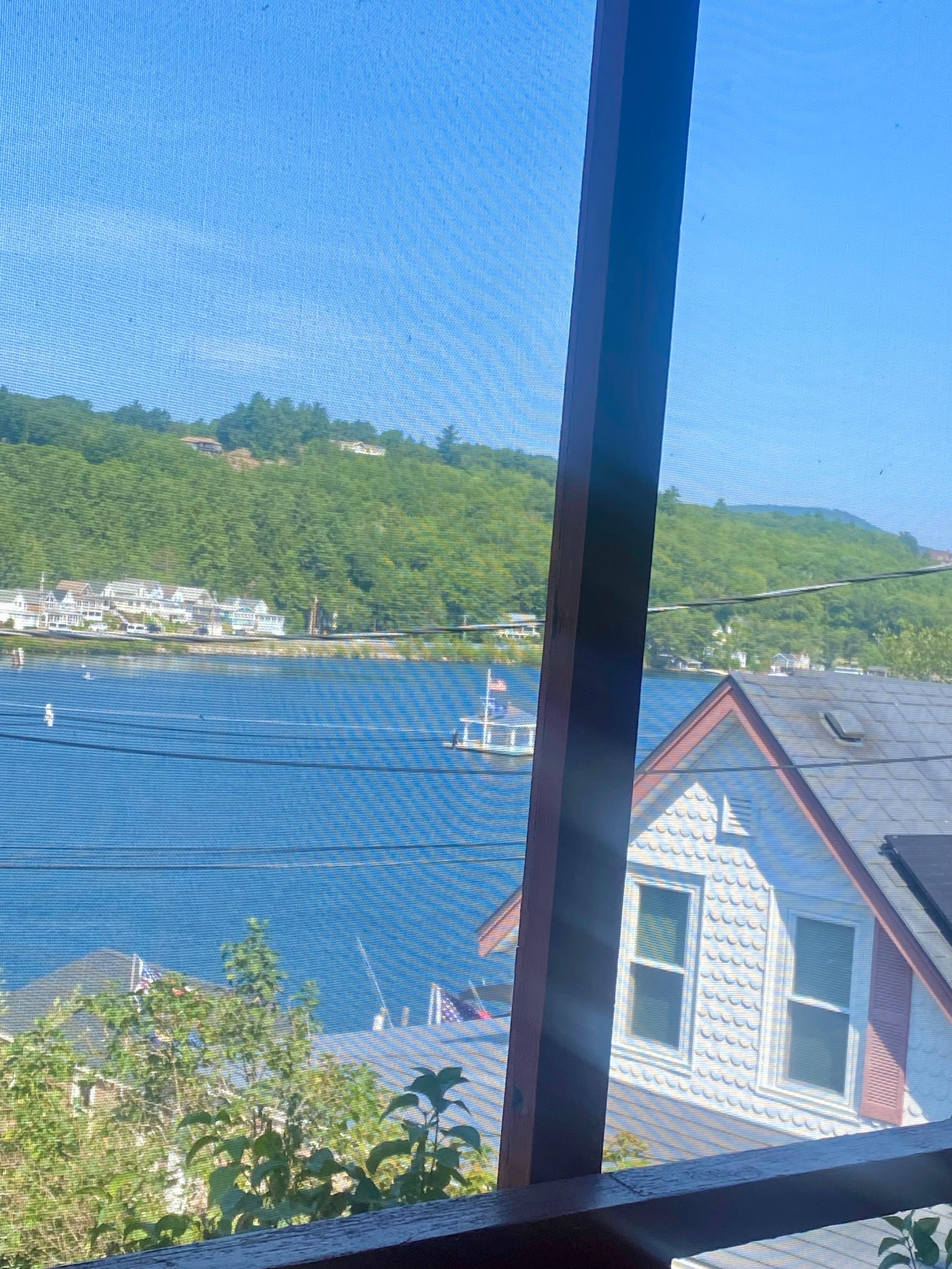 The view from the screened porch