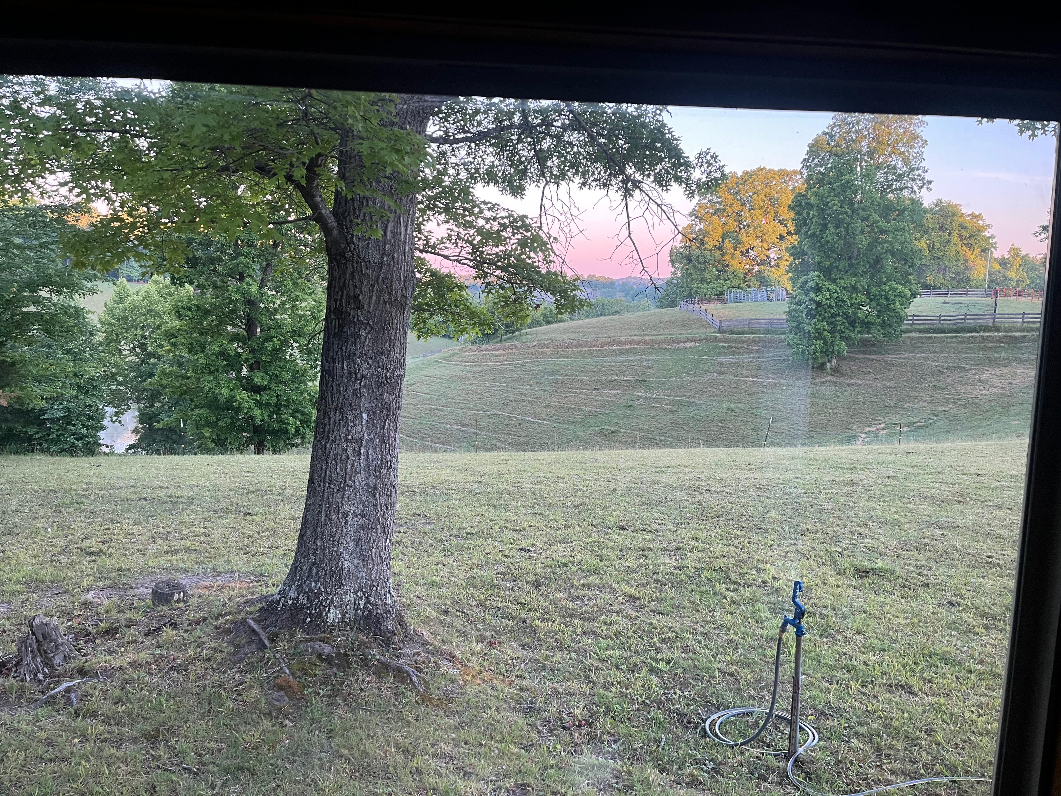 The view out of the huge window on the front of the cabin 