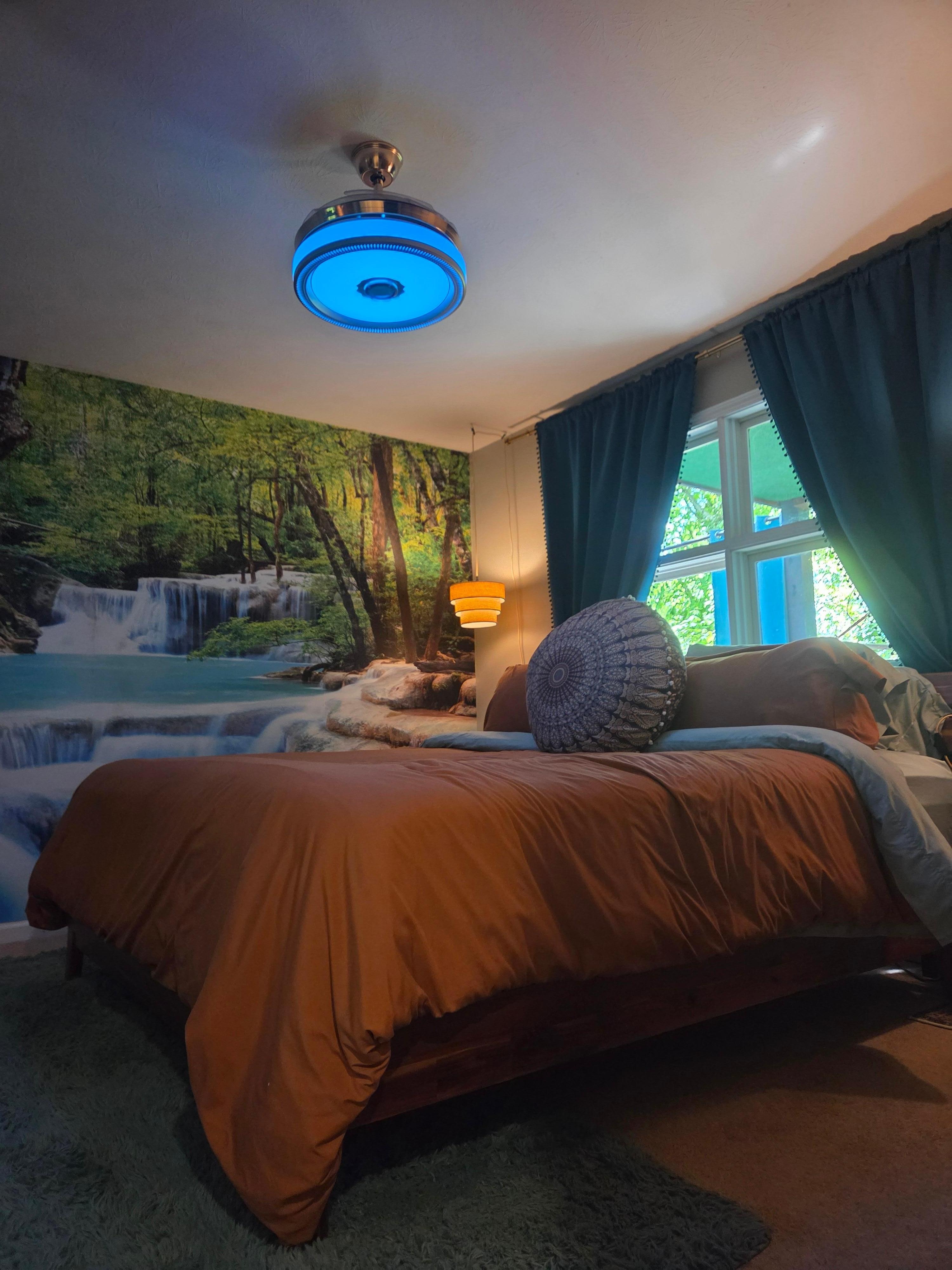 Tranquil Master Bedroom 