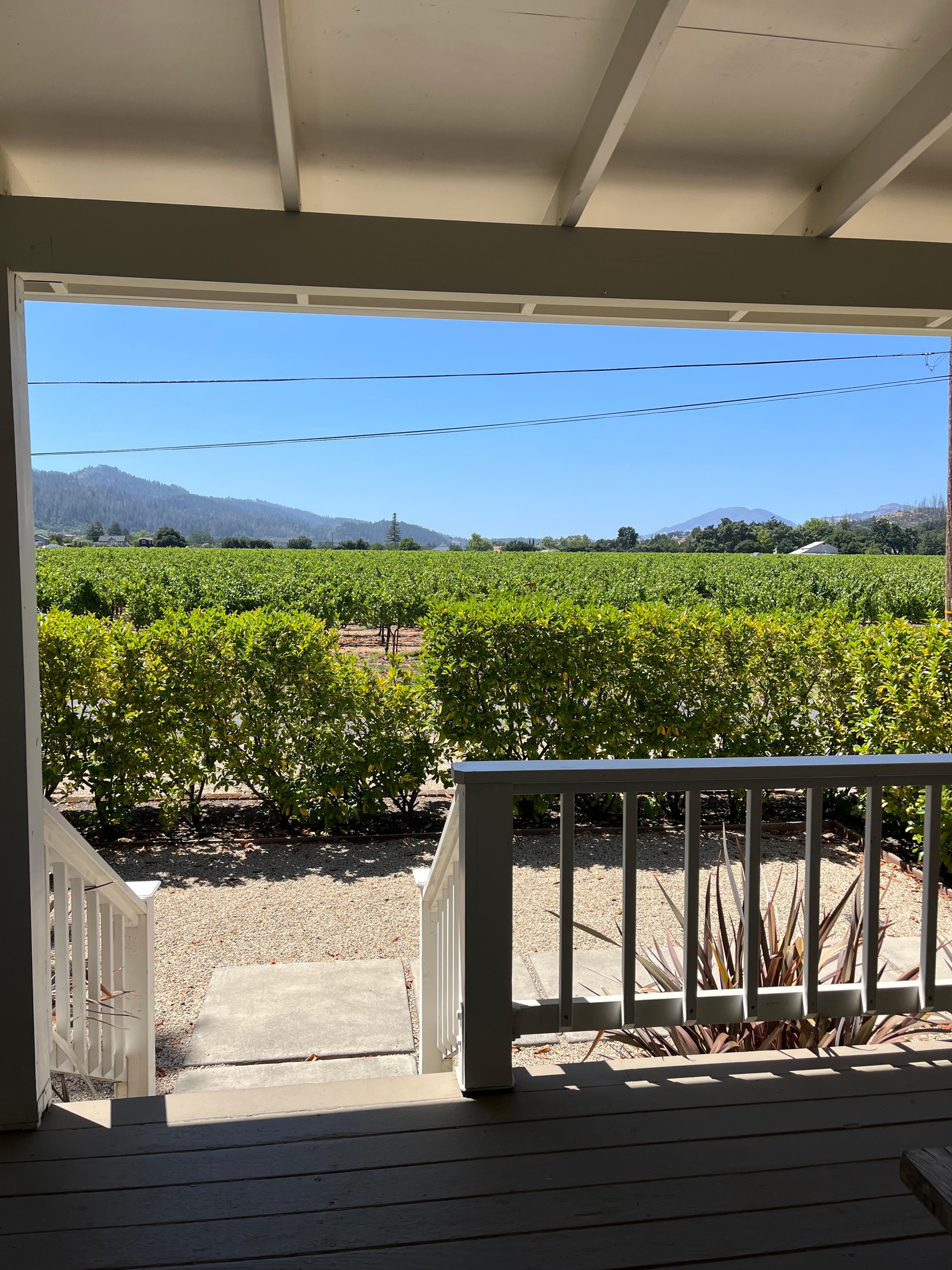 View from the front porch