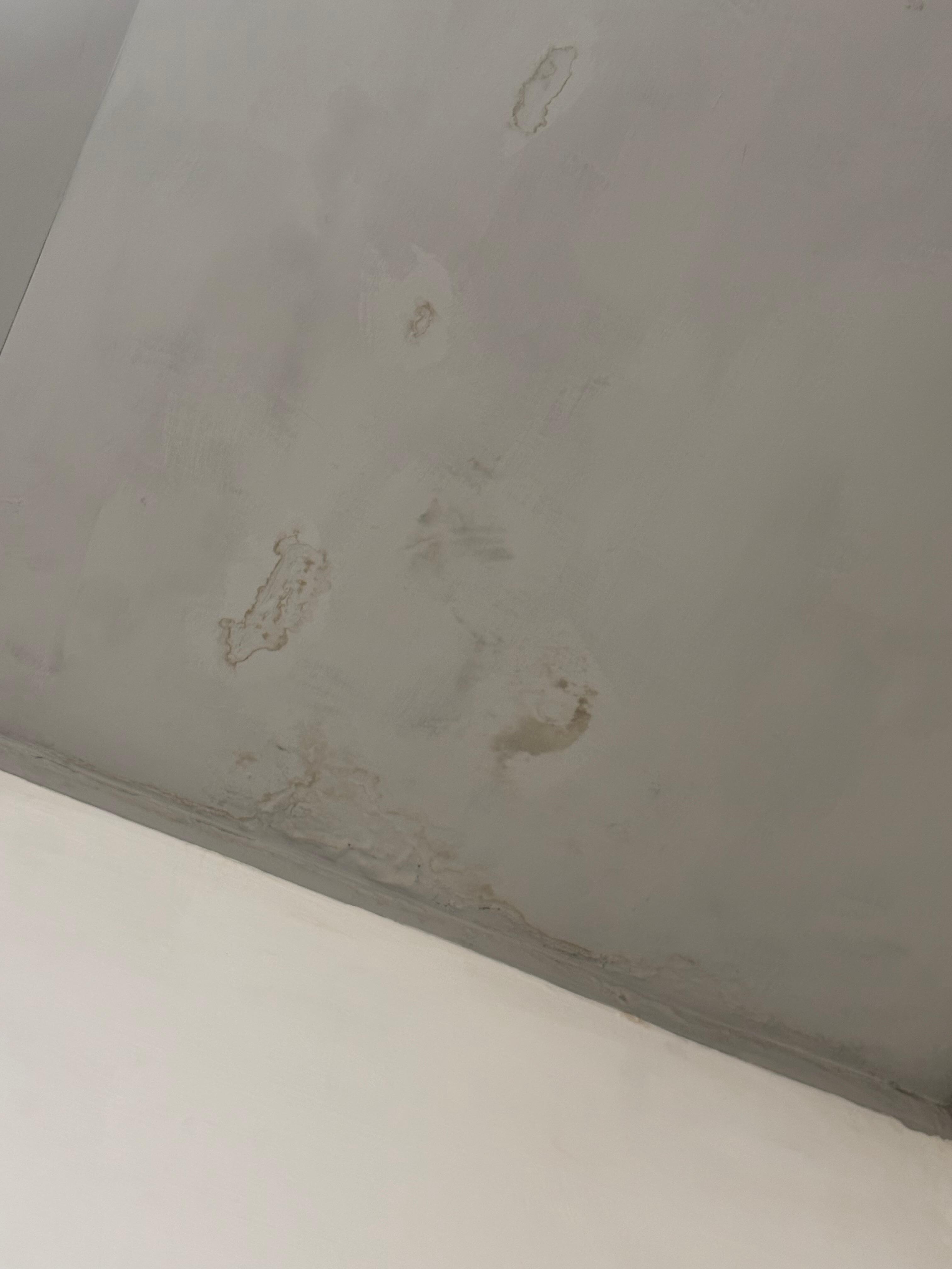 mold/ water damage in sleeping area