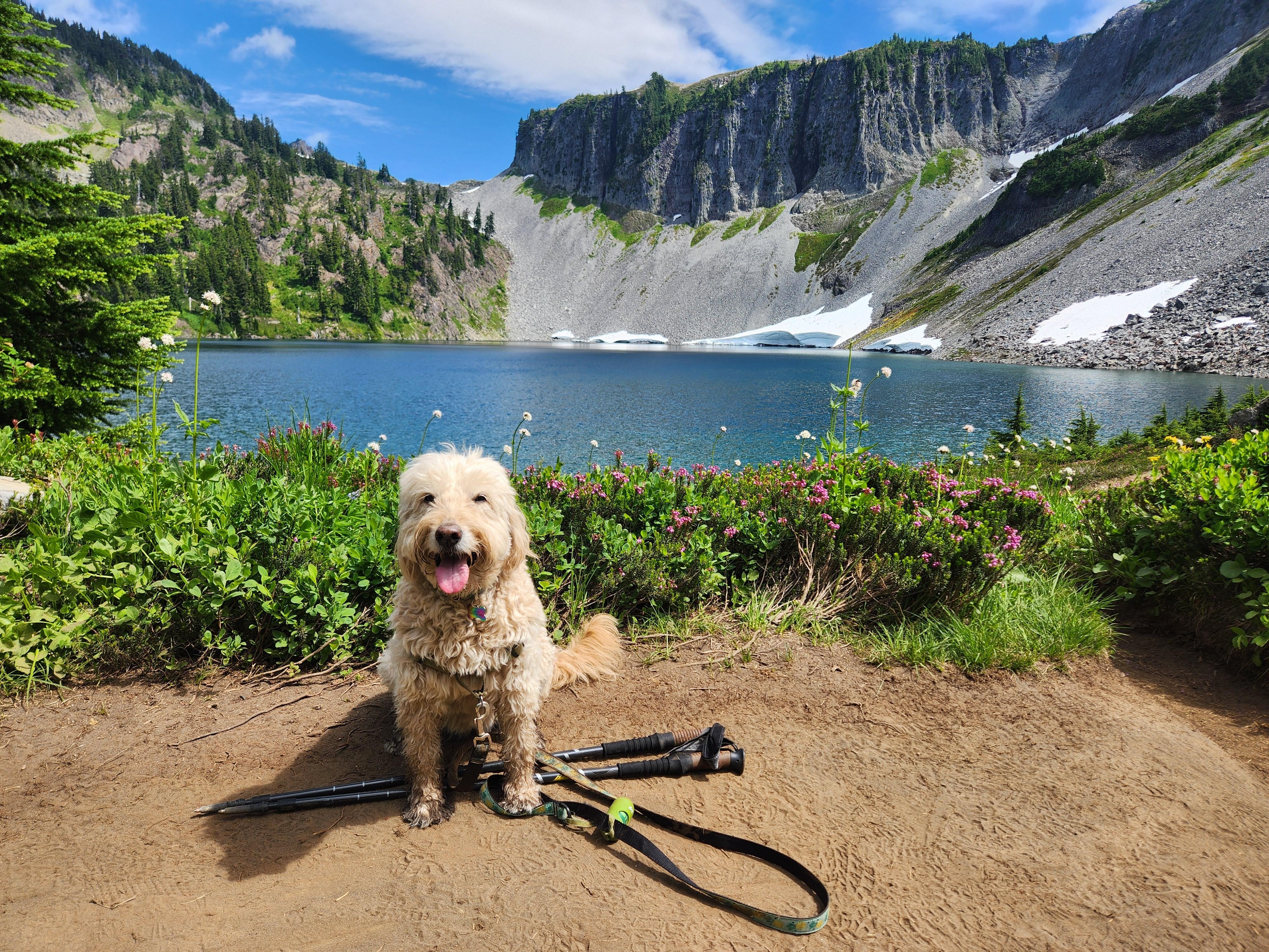 Artist Point is 2 hrs away. This is from the midpoint of the Chain Lakes Trail.