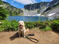 Artist Point is 2 hrs away. This is from the midpoint of the Chain Lakes Trail.
