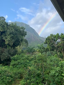 View from the back deck one morning after a rainstorm.
