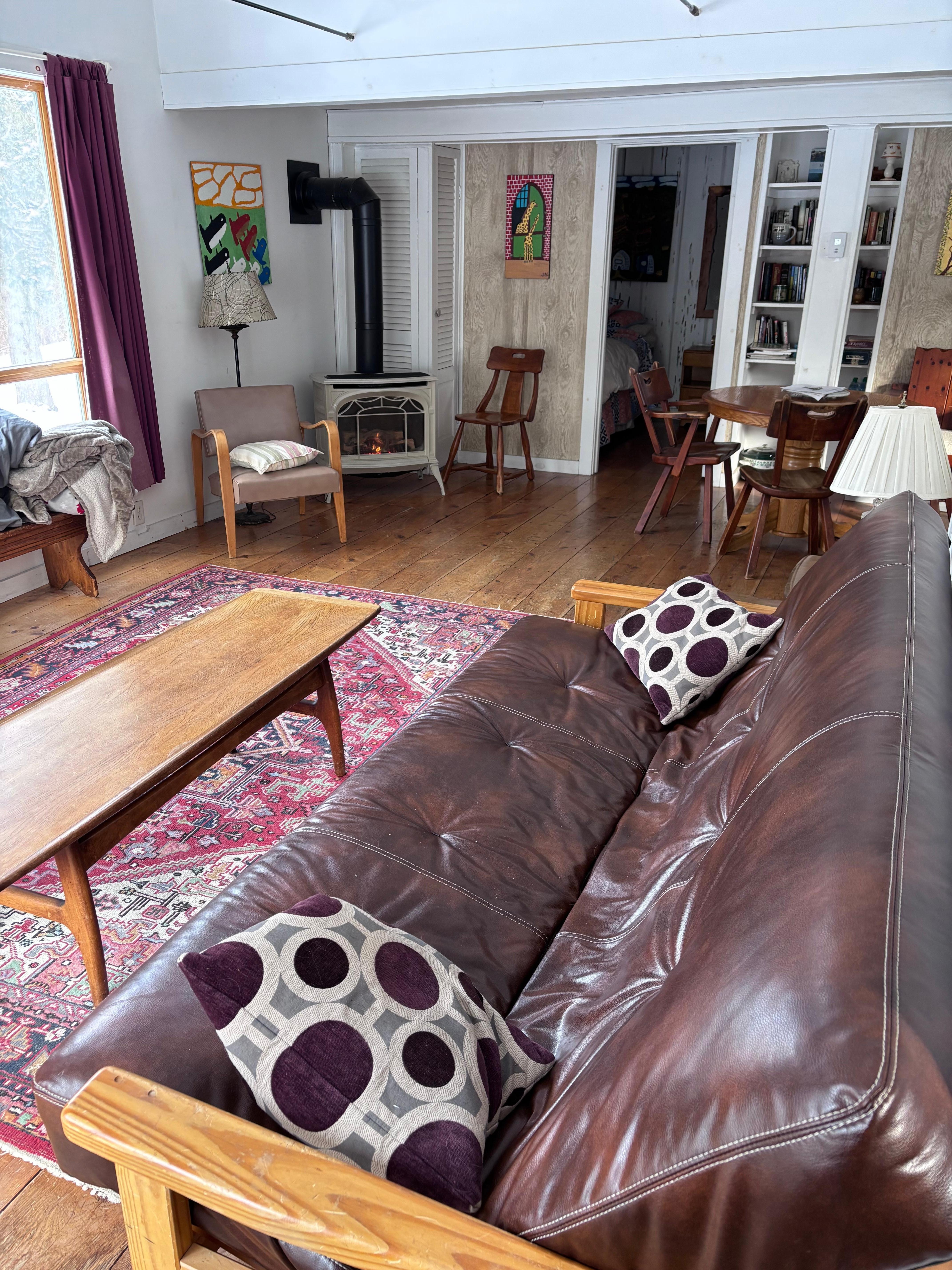 Living room area with leather futon couch
