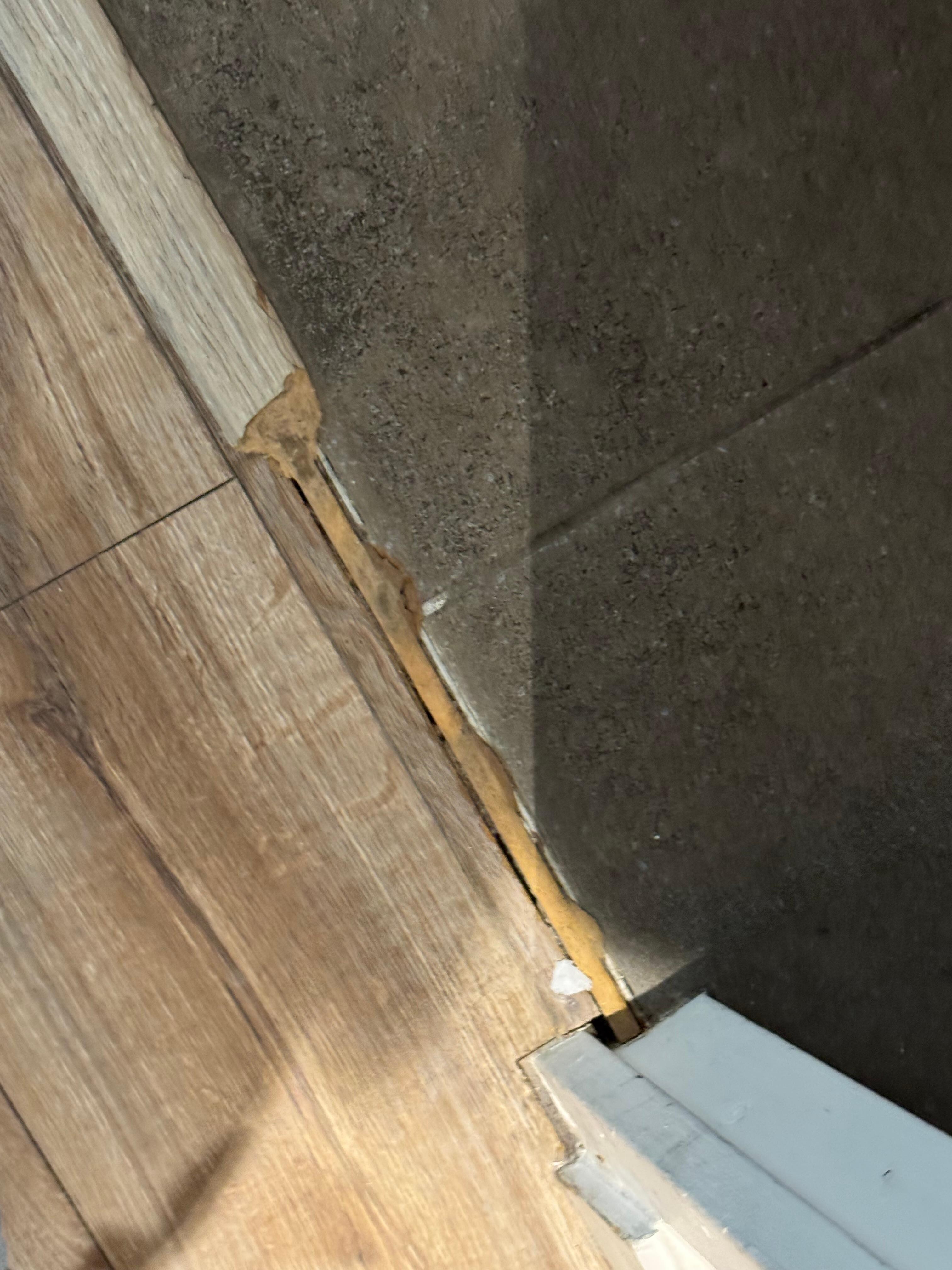 Thresholds were missing pieces