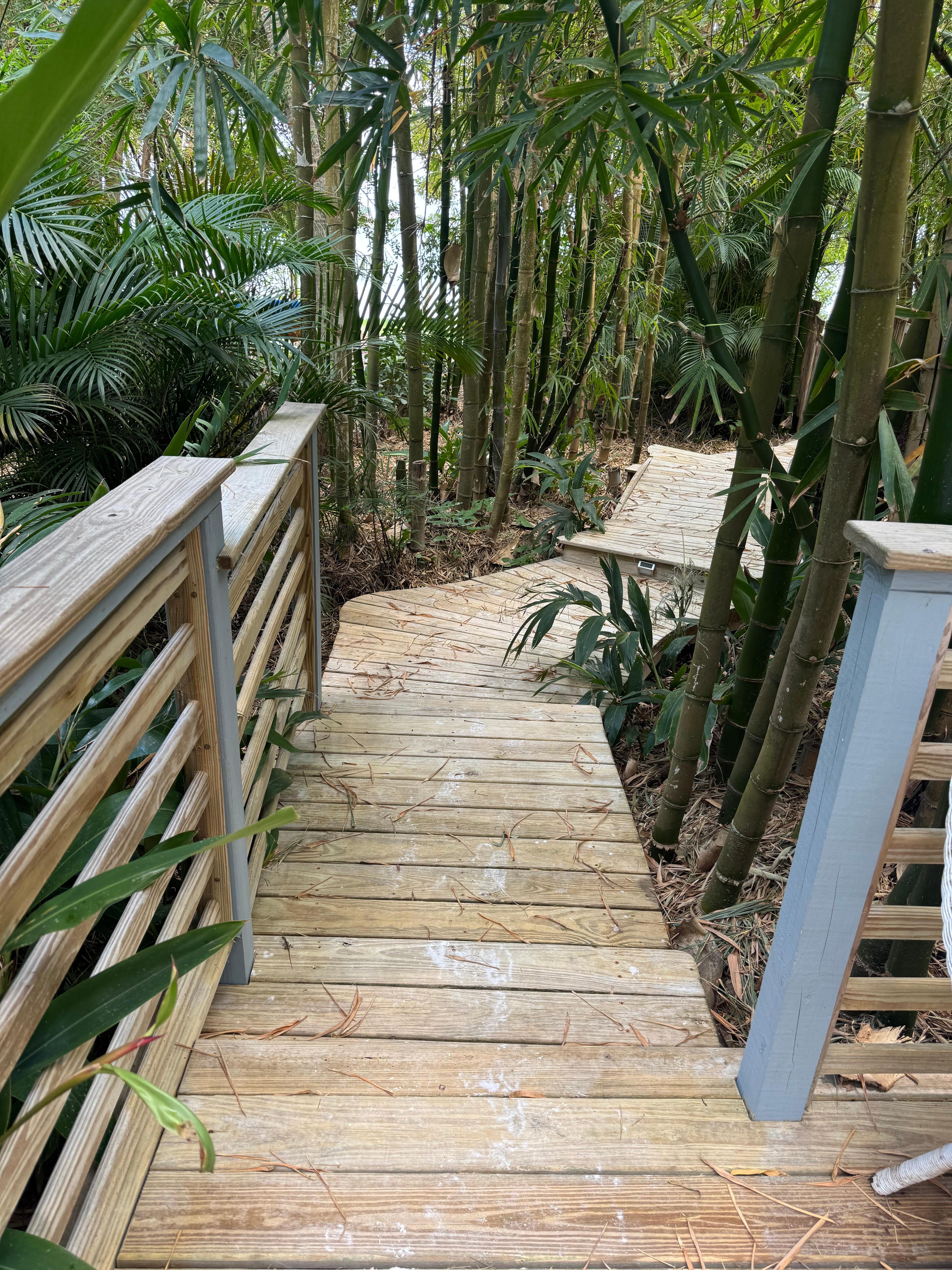 Private walkway to the beach 