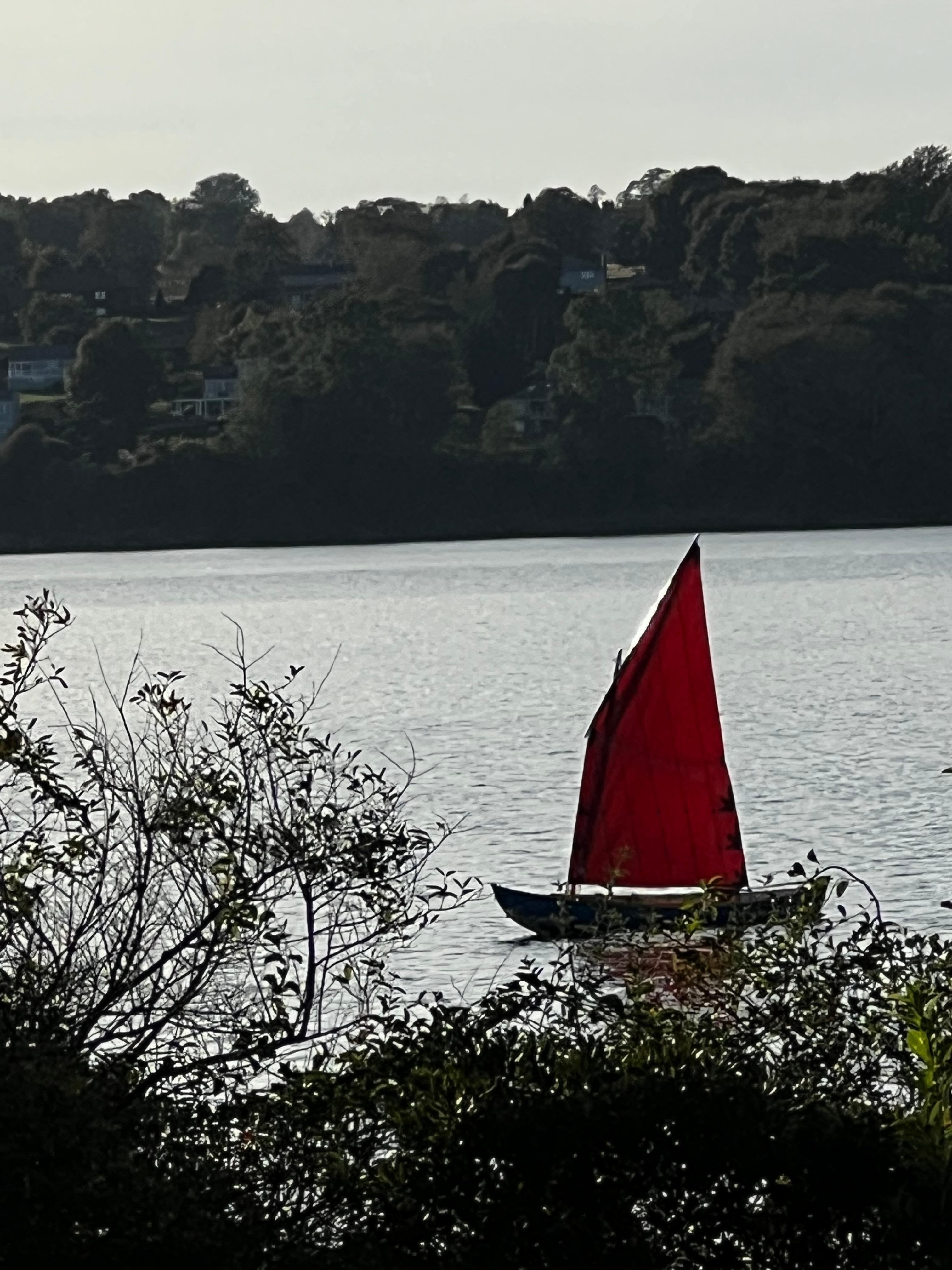 So much to watch, and enjoy!