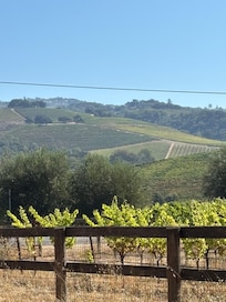 Nearby winery