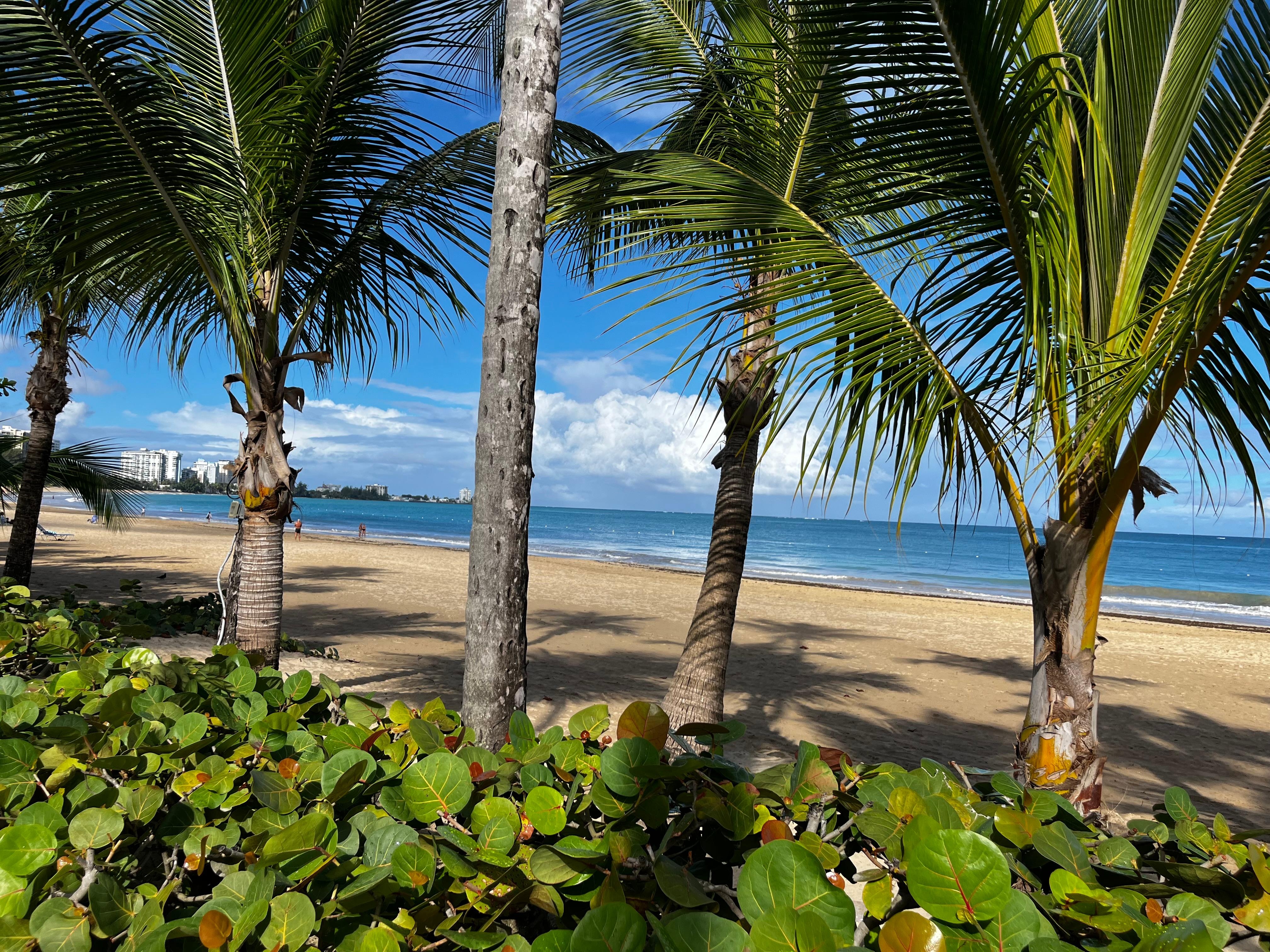Gorgeous urban beach