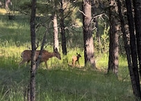 Momma and baby