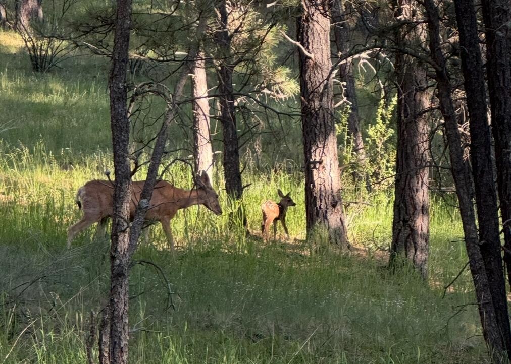 Momma and baby