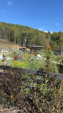 The gardens