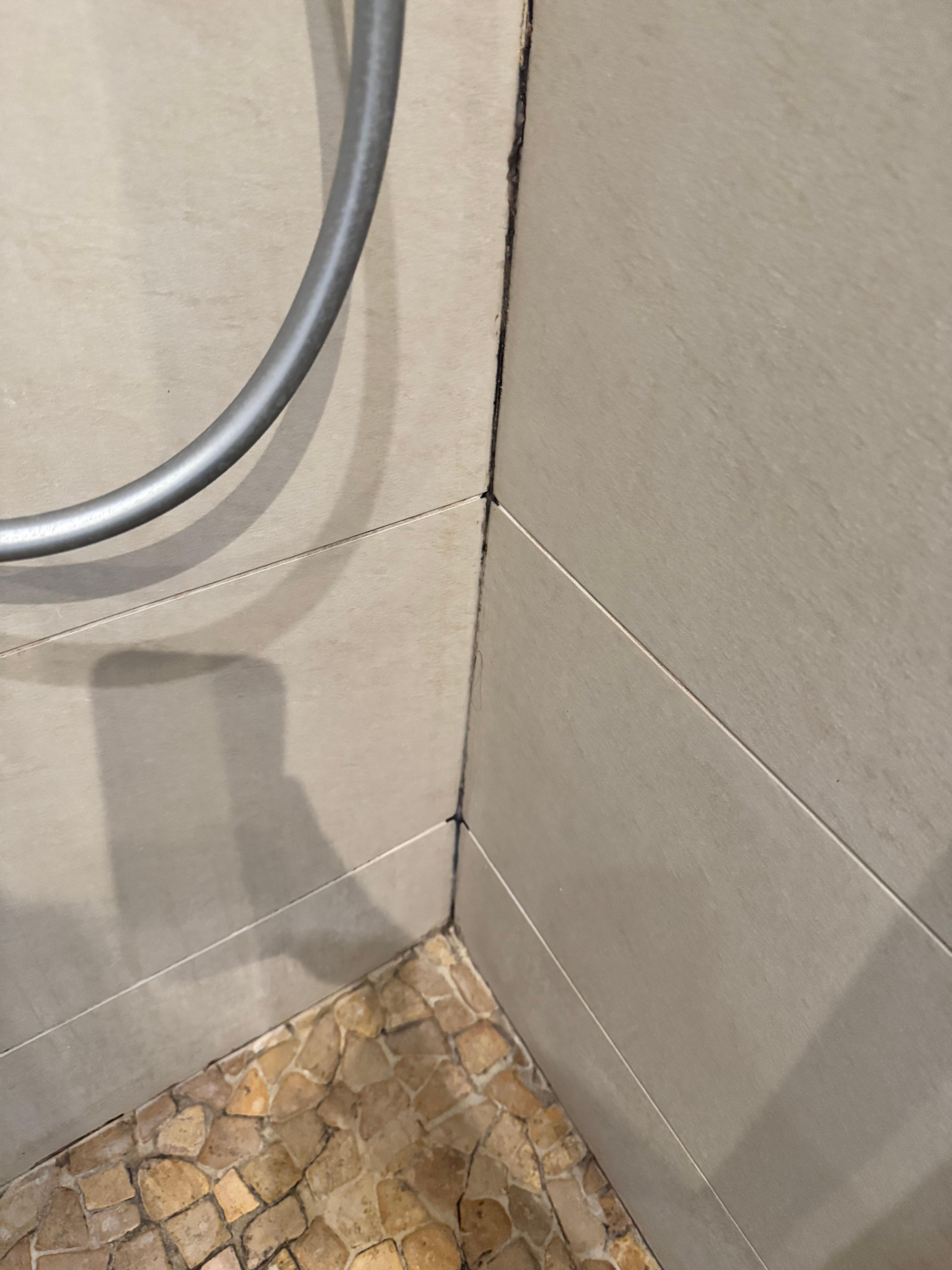 Mold