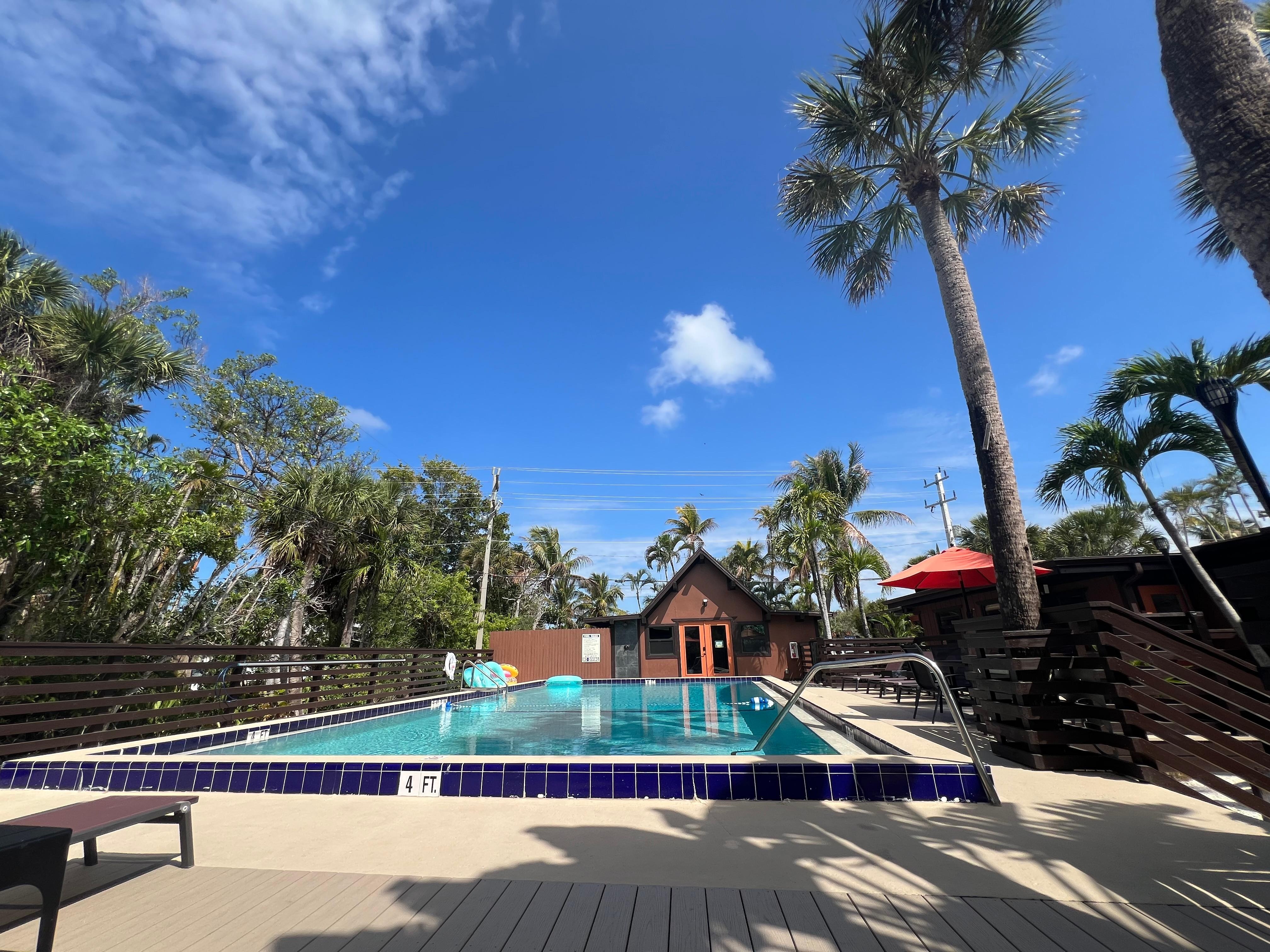 Pool area with palms