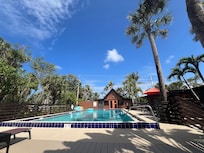 Pool area with palms