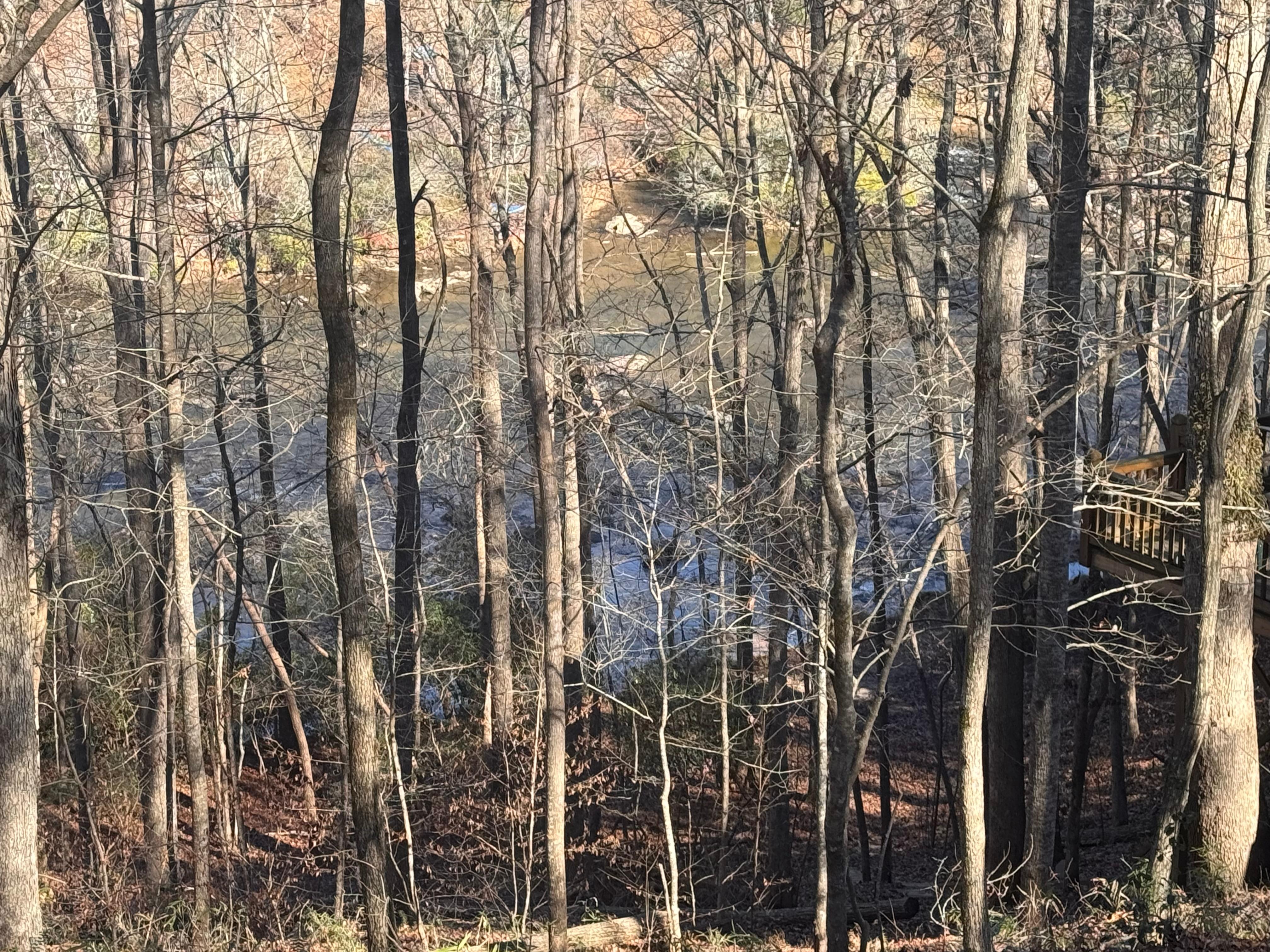 Great river view down thru the trees. The sound of the river is impressive! 