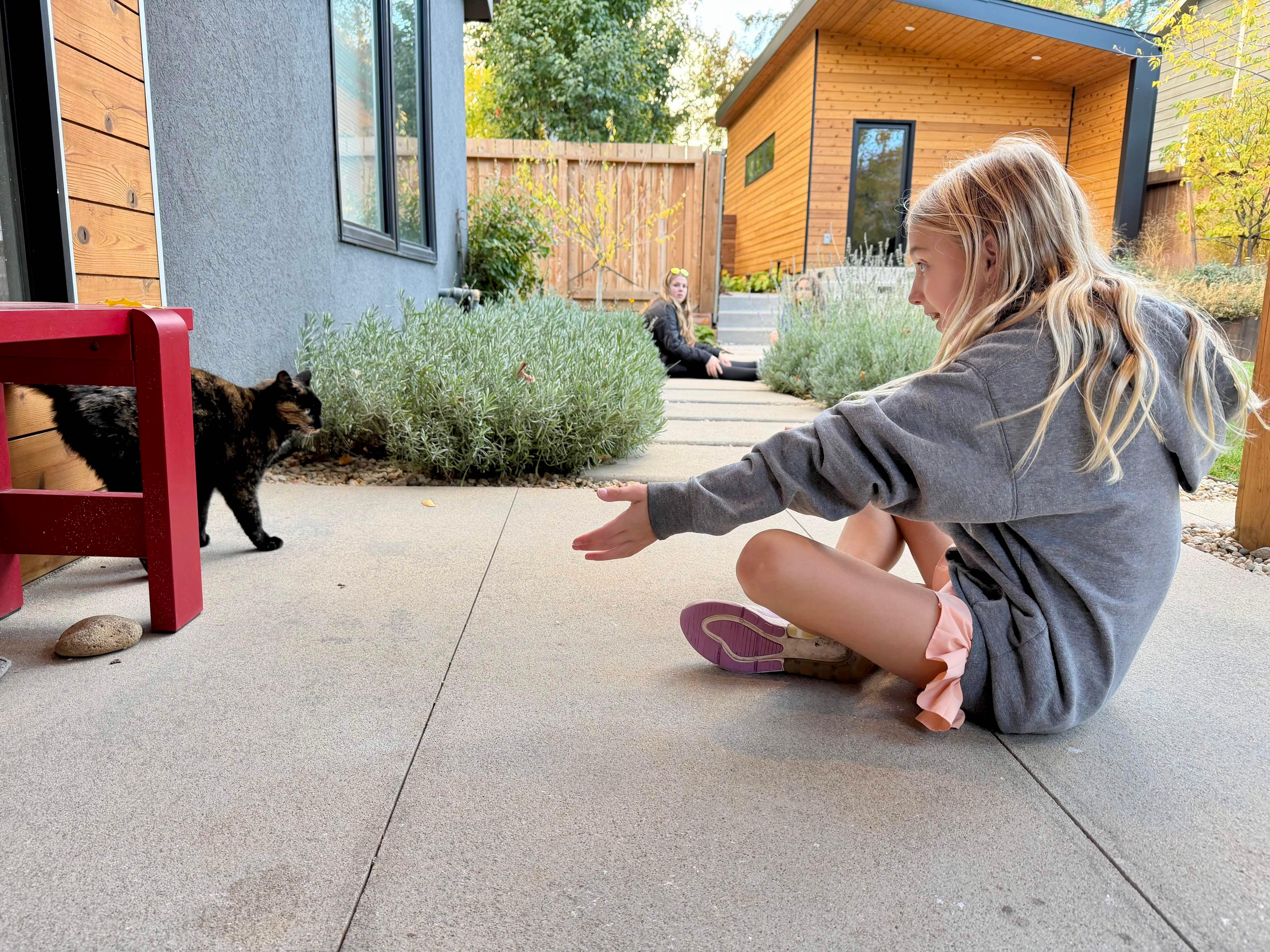 A cat visited multiple times a day keeping our youngest kids entertained.