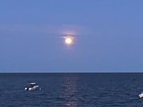 View from the deck