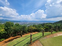view from the top of the monkey walk