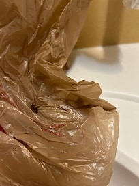 cockroach