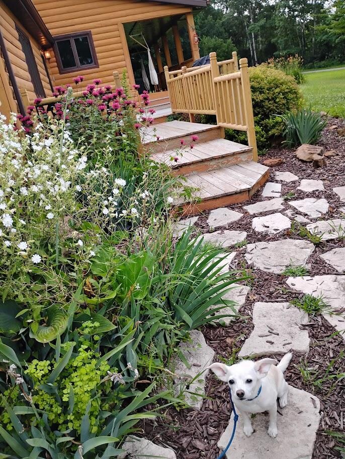 Cabin walk near front deck