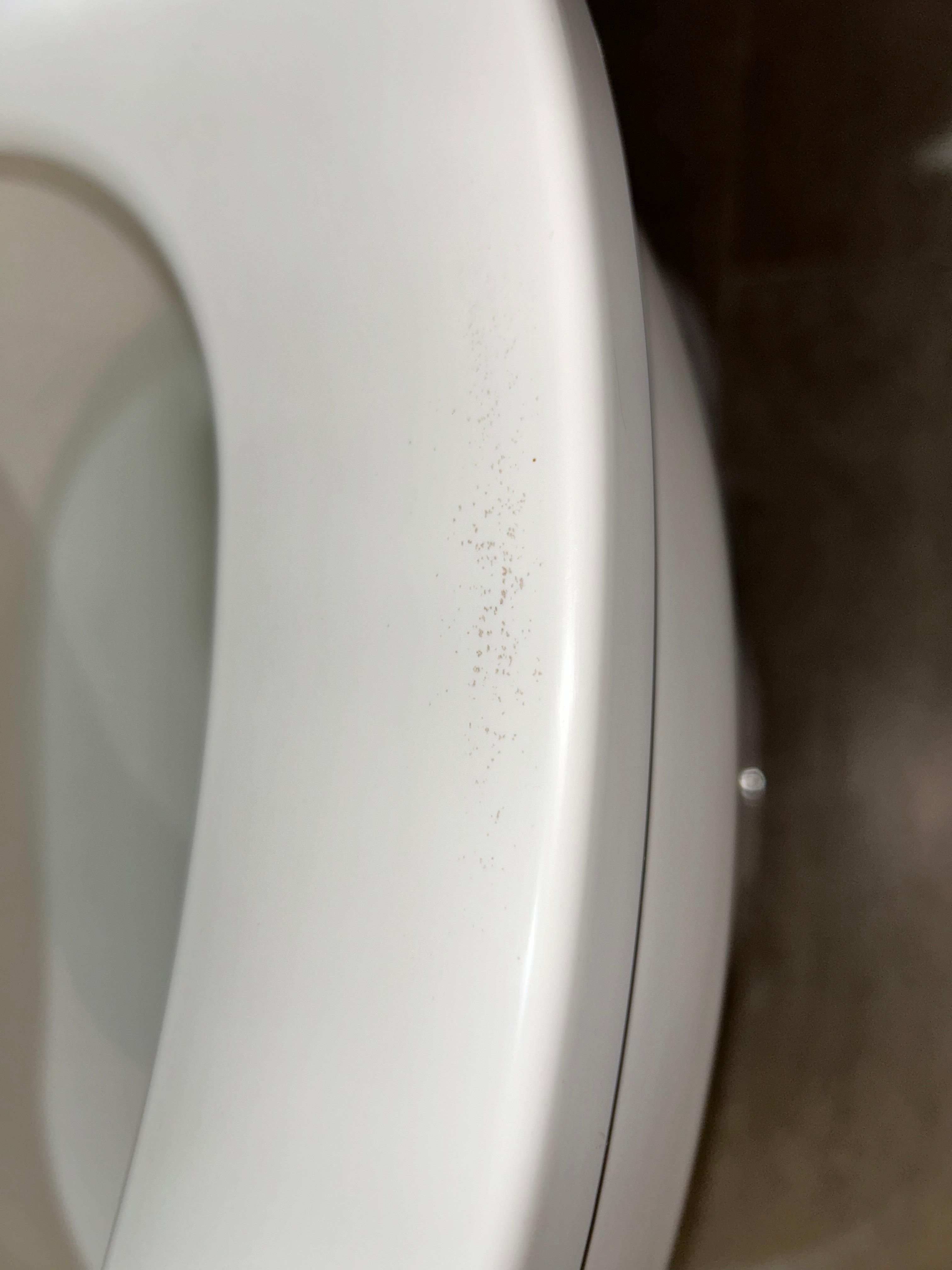 Nasty residue on toilet seat.