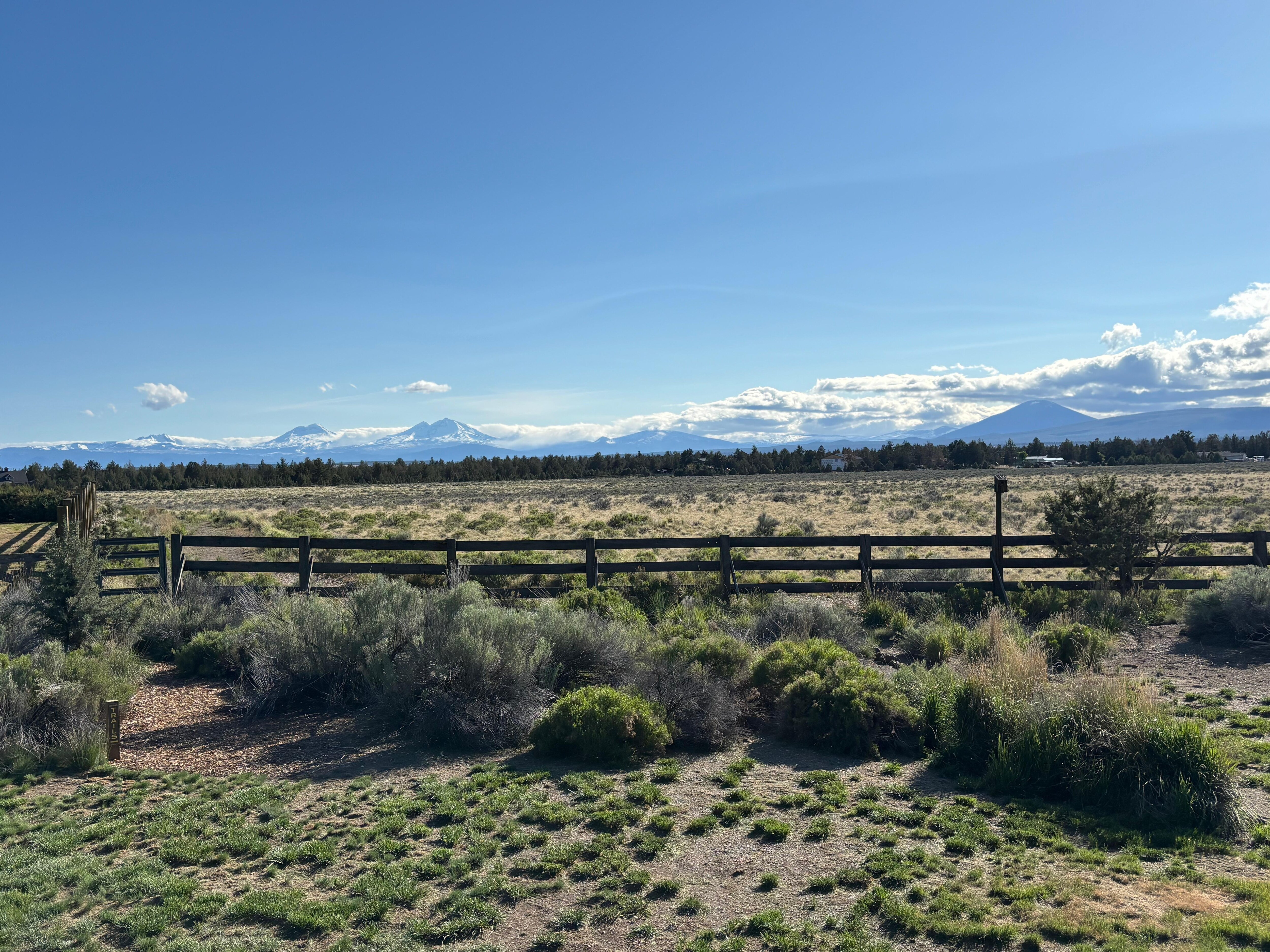 View from the back deck