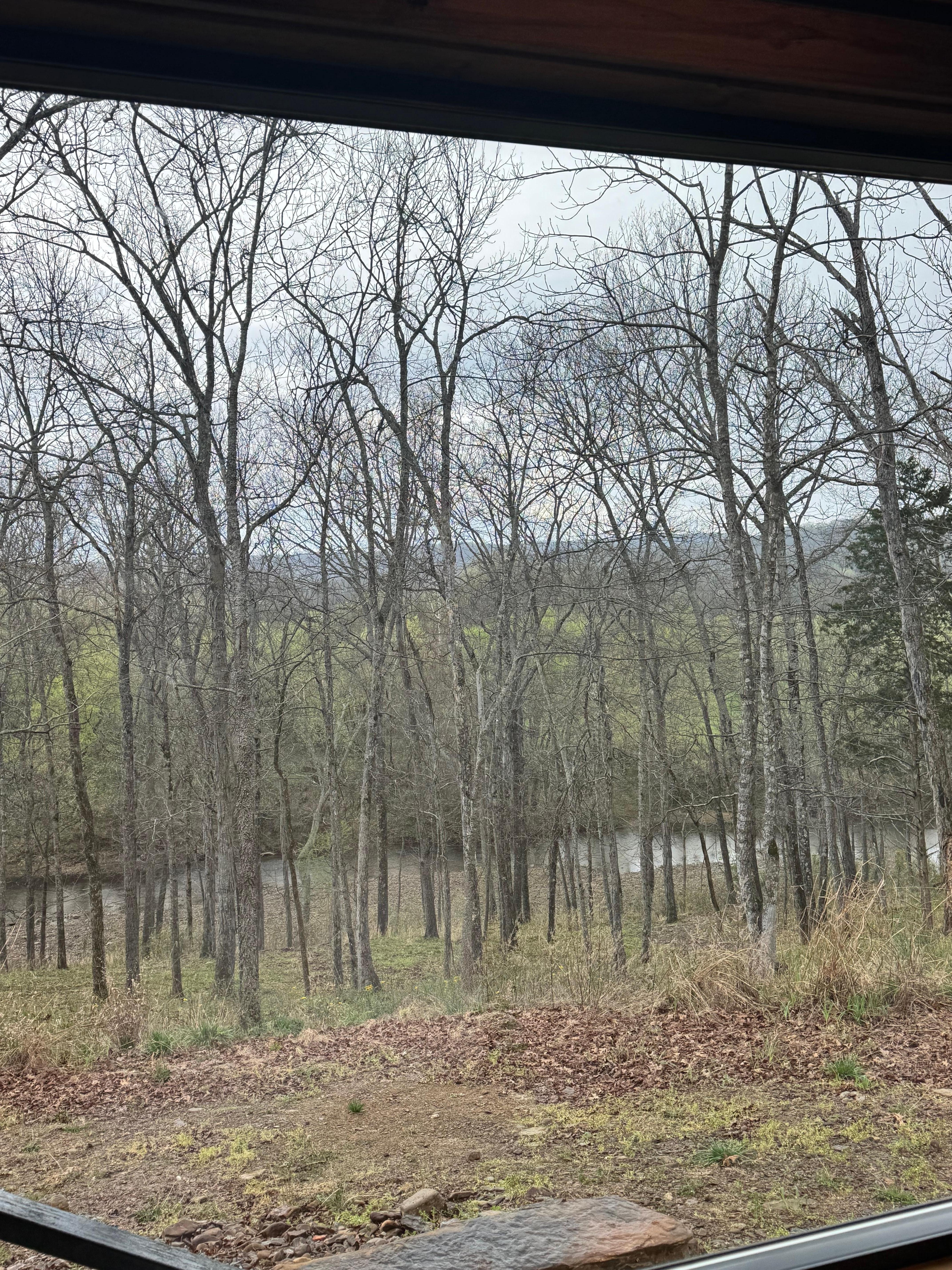 Peaceful view of the river from the bedroom window. 