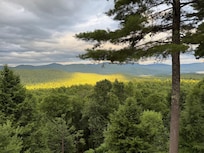 View from the rear window!