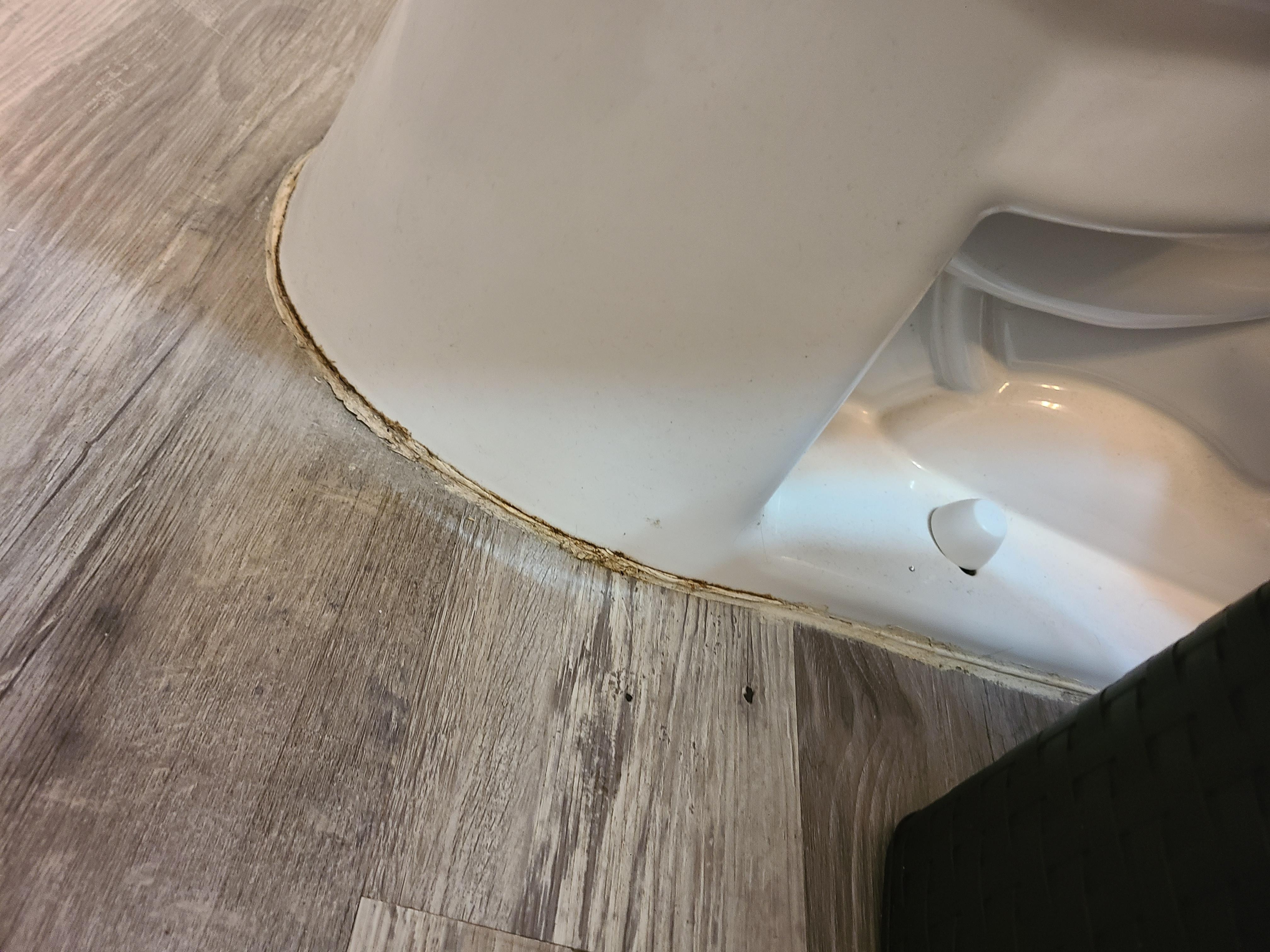 The lower part of the toilets and floors needed cleaned.