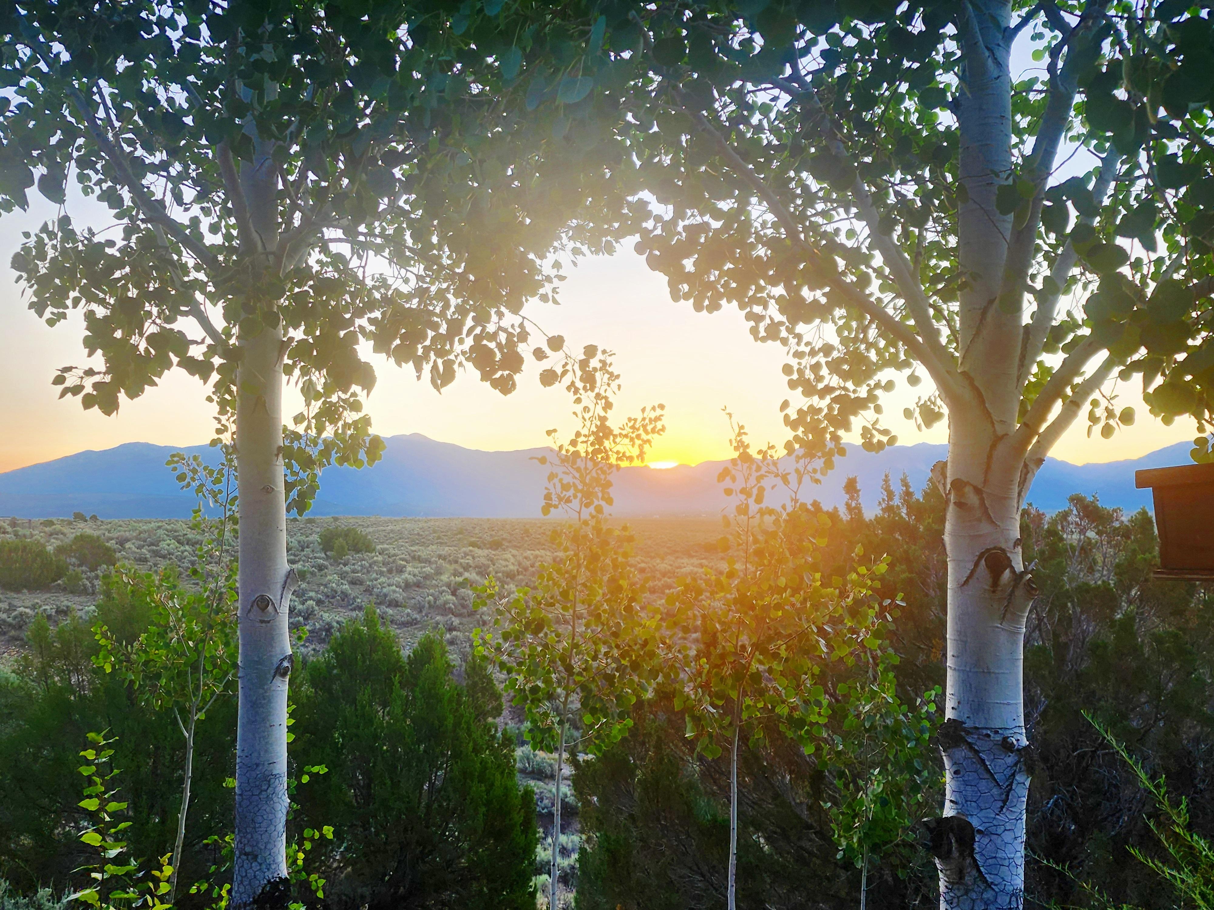Sunrise from front patio.