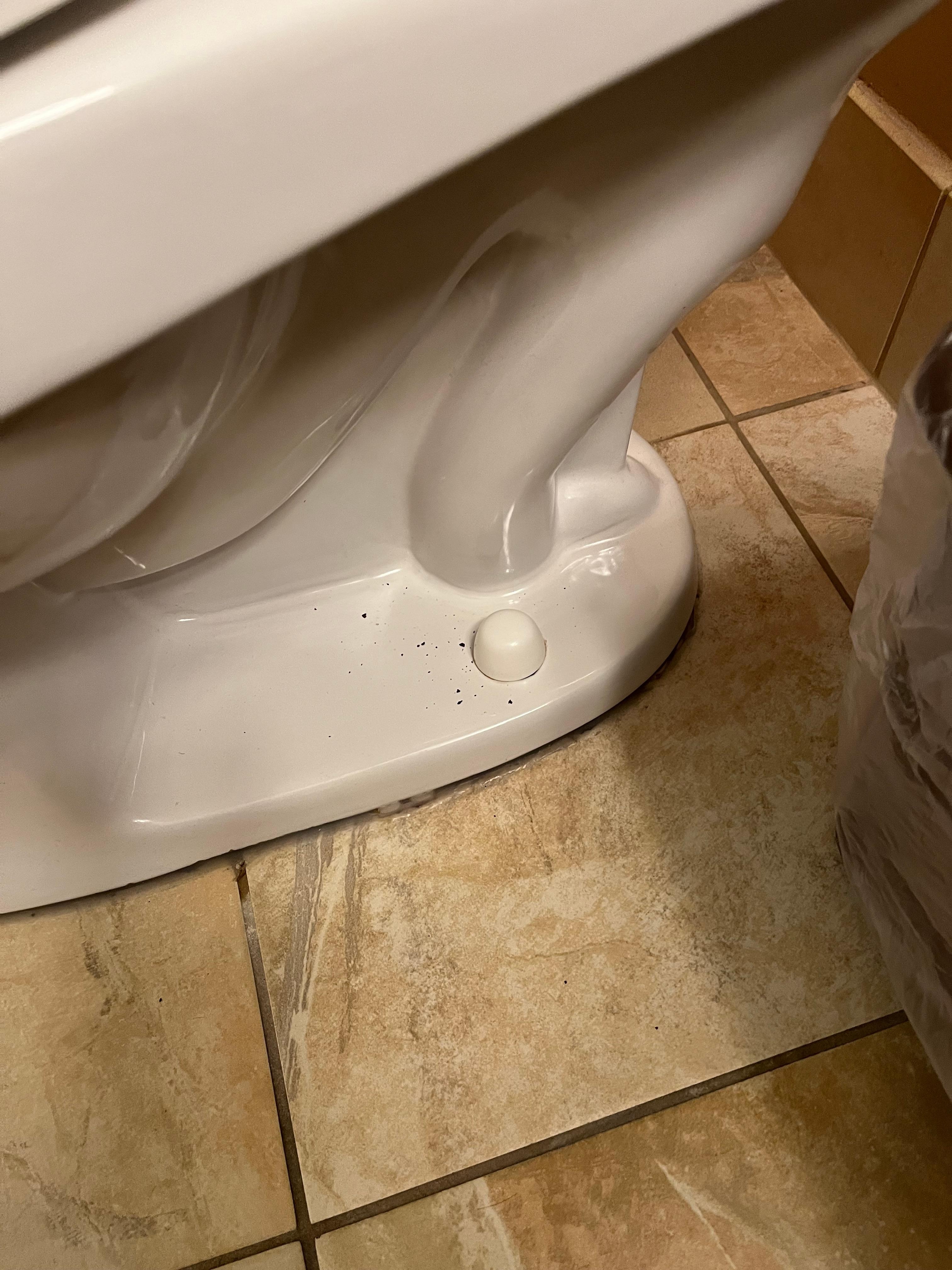 Toilet area wasn’t clean properly 